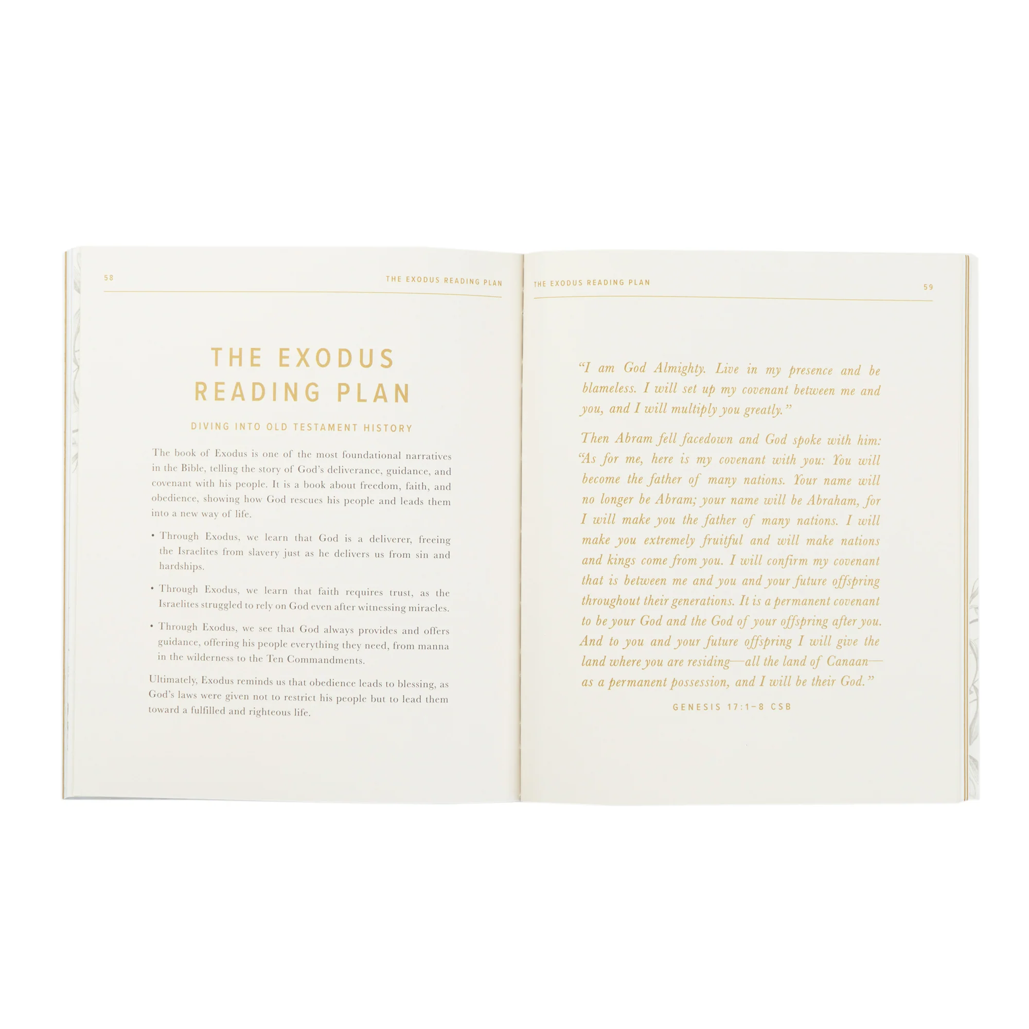 New to the Bible? Bible Toolkit - Image 10