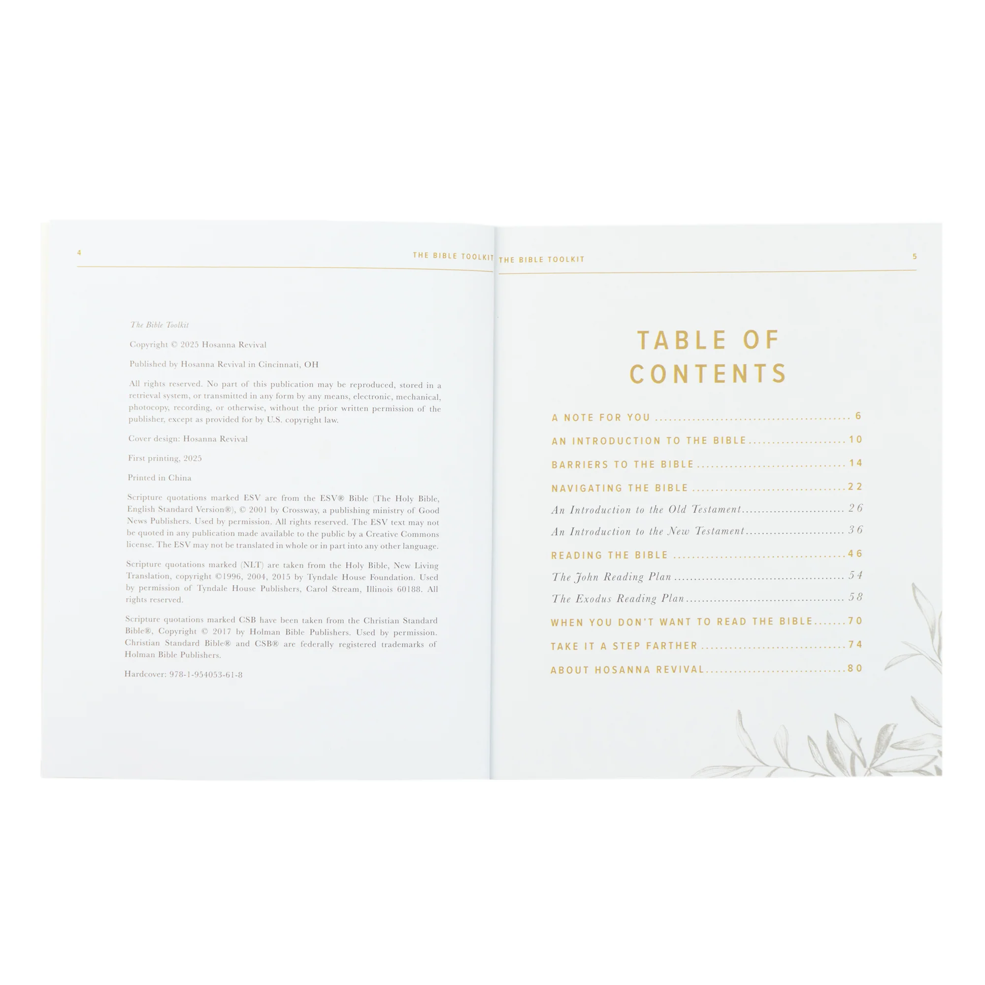 New to the Bible? Bible Toolkit - Image 5