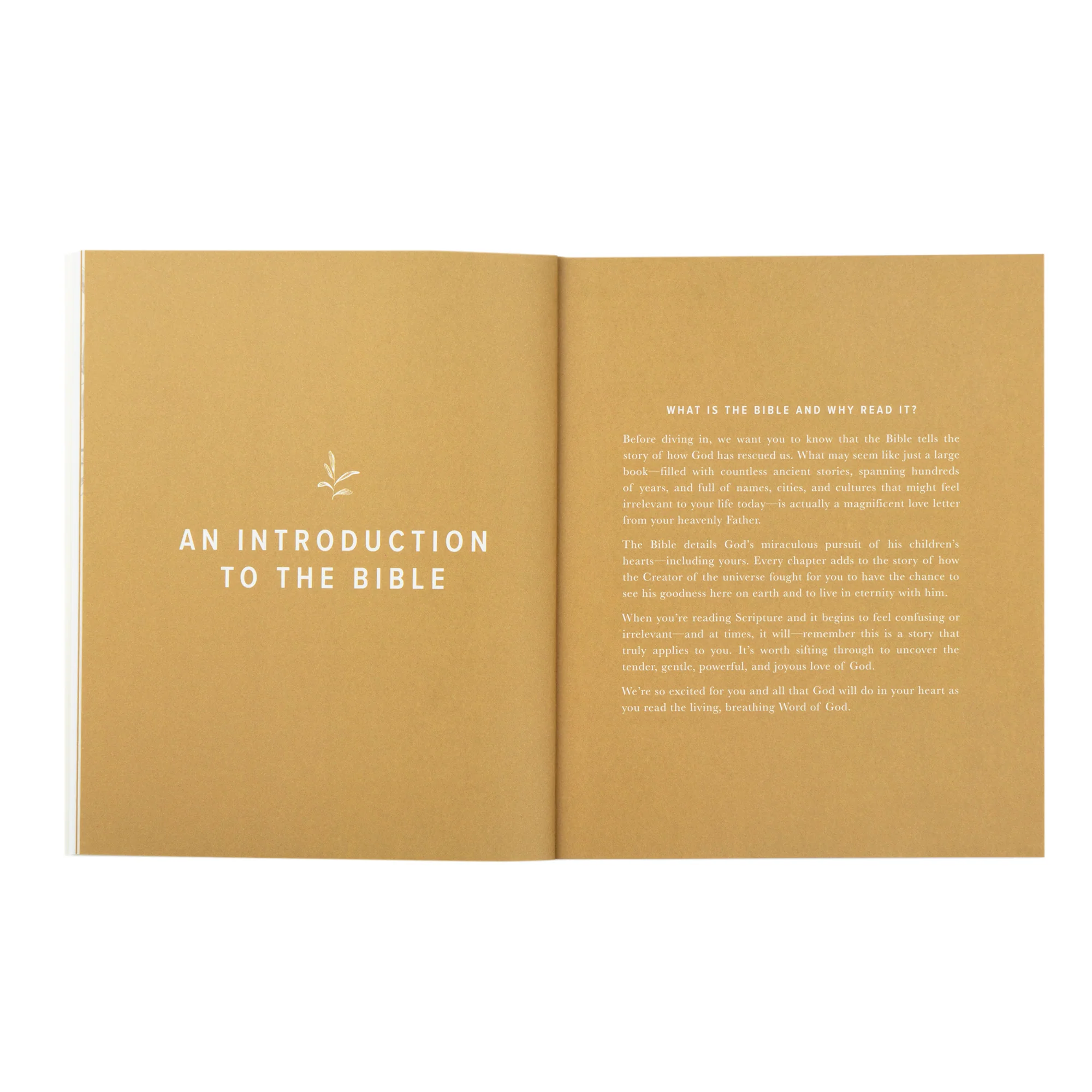 New to the Bible? Bible Toolkit - Image 7