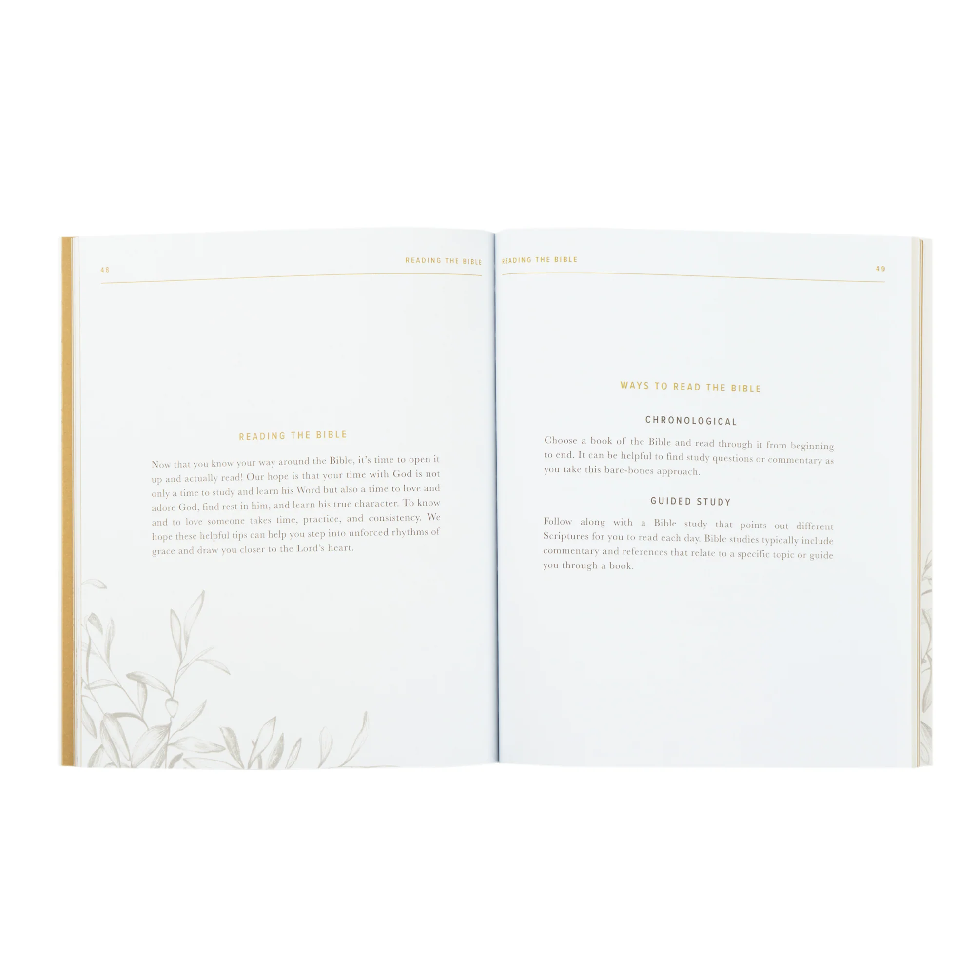 New to the Bible? Bible Toolkit - Image 8