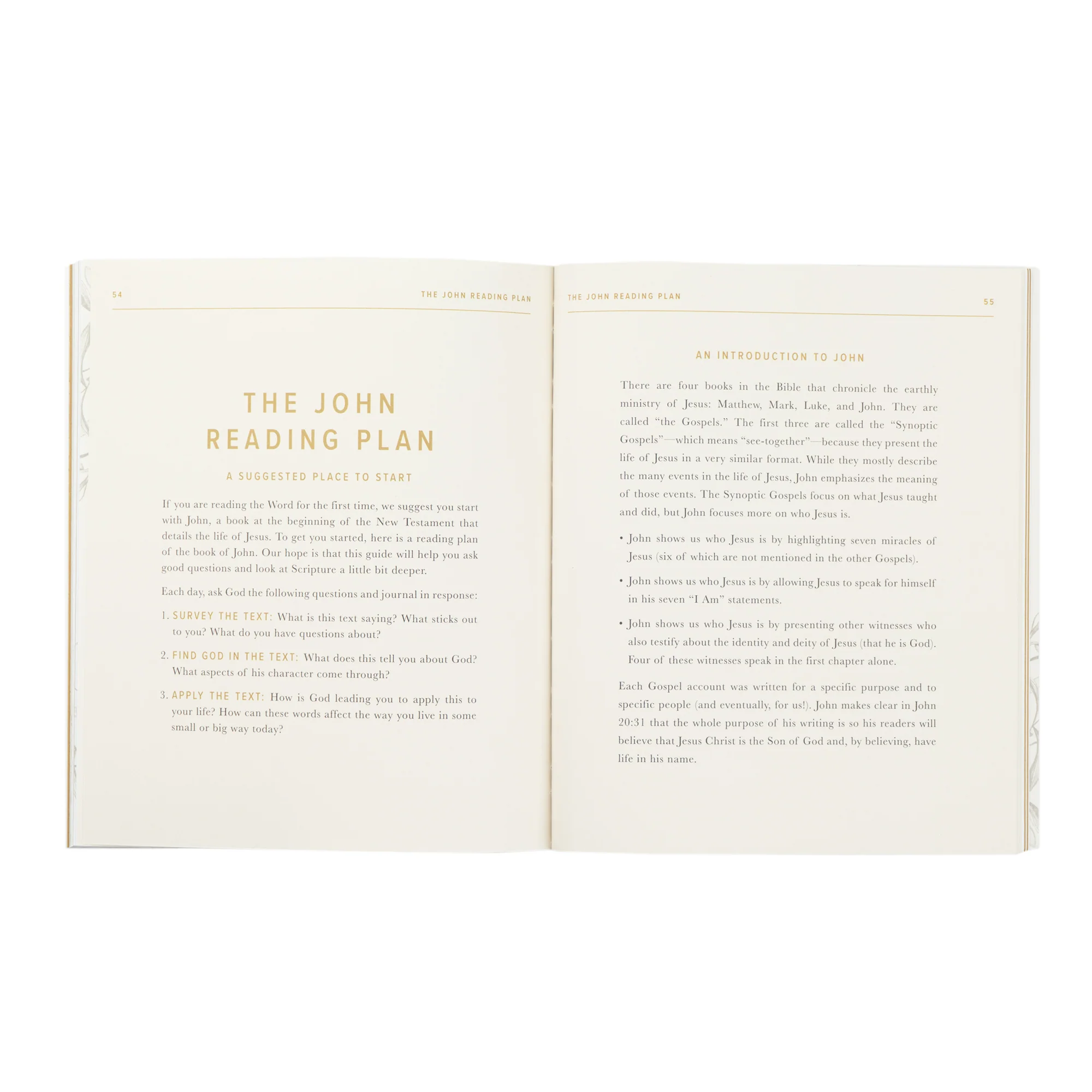 New to the Bible? Bible Toolkit - Image 9