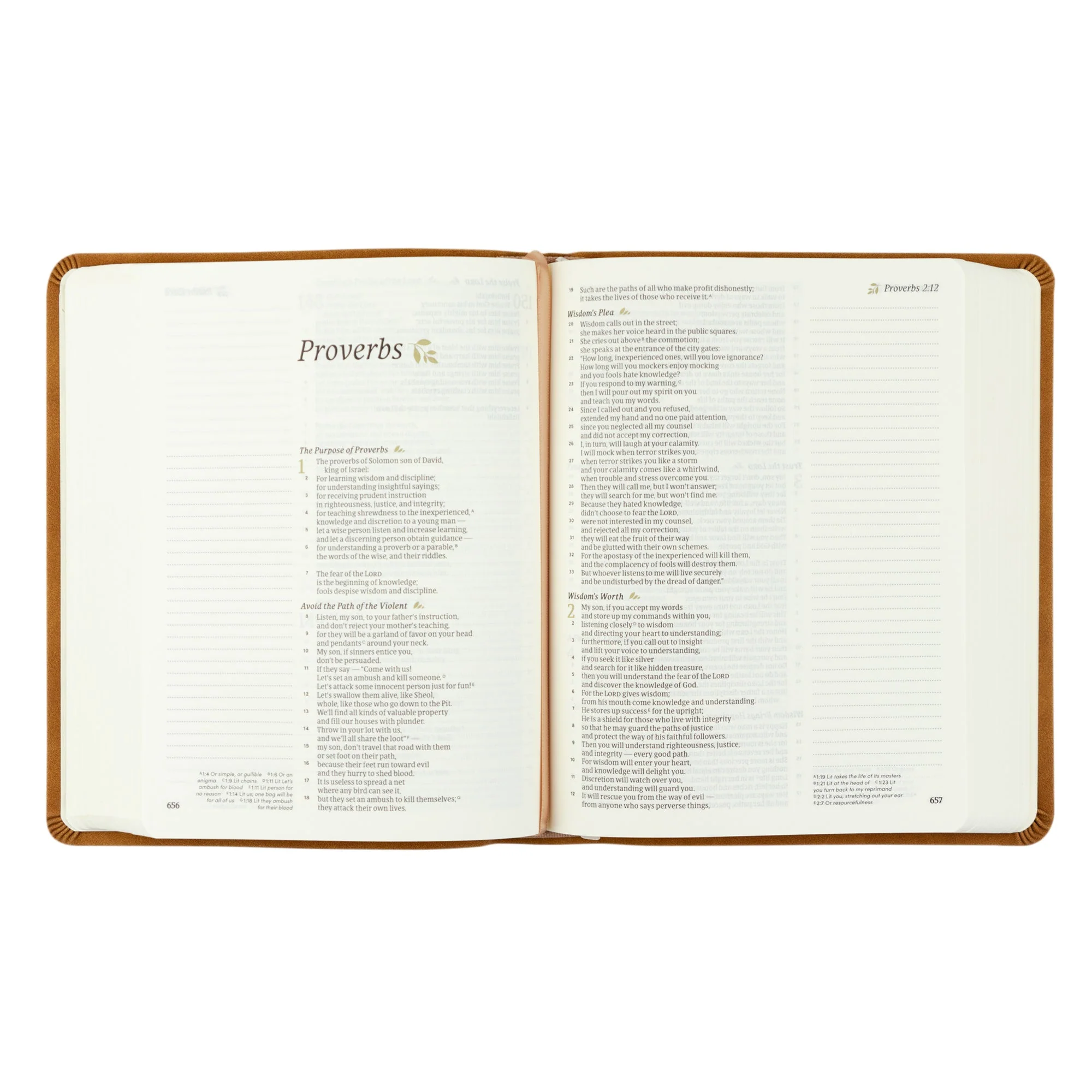 CSB Notetaking Bible: Amelia Theme - Image 5