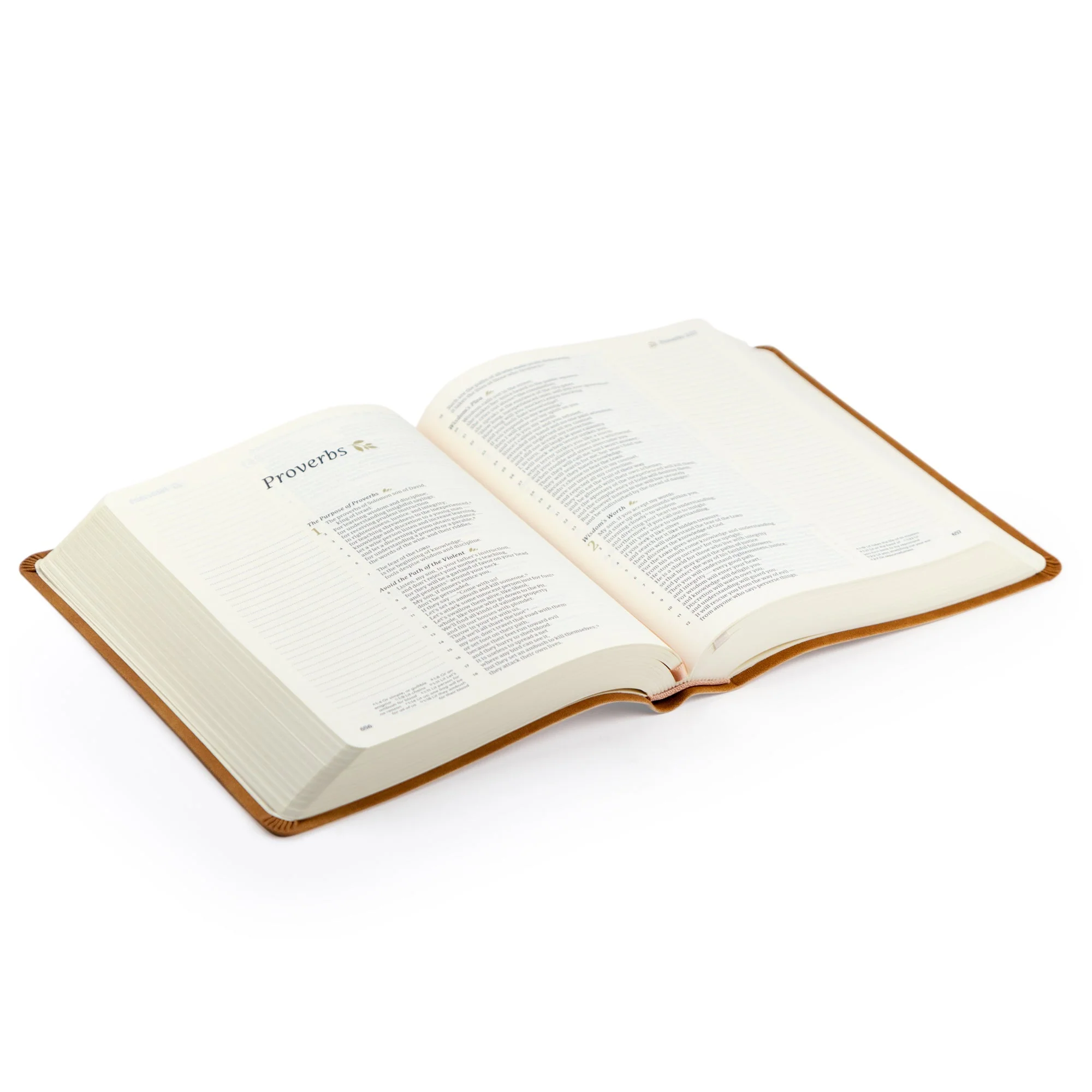 CSB Notetaking Bible: Amelia Theme - Image 6