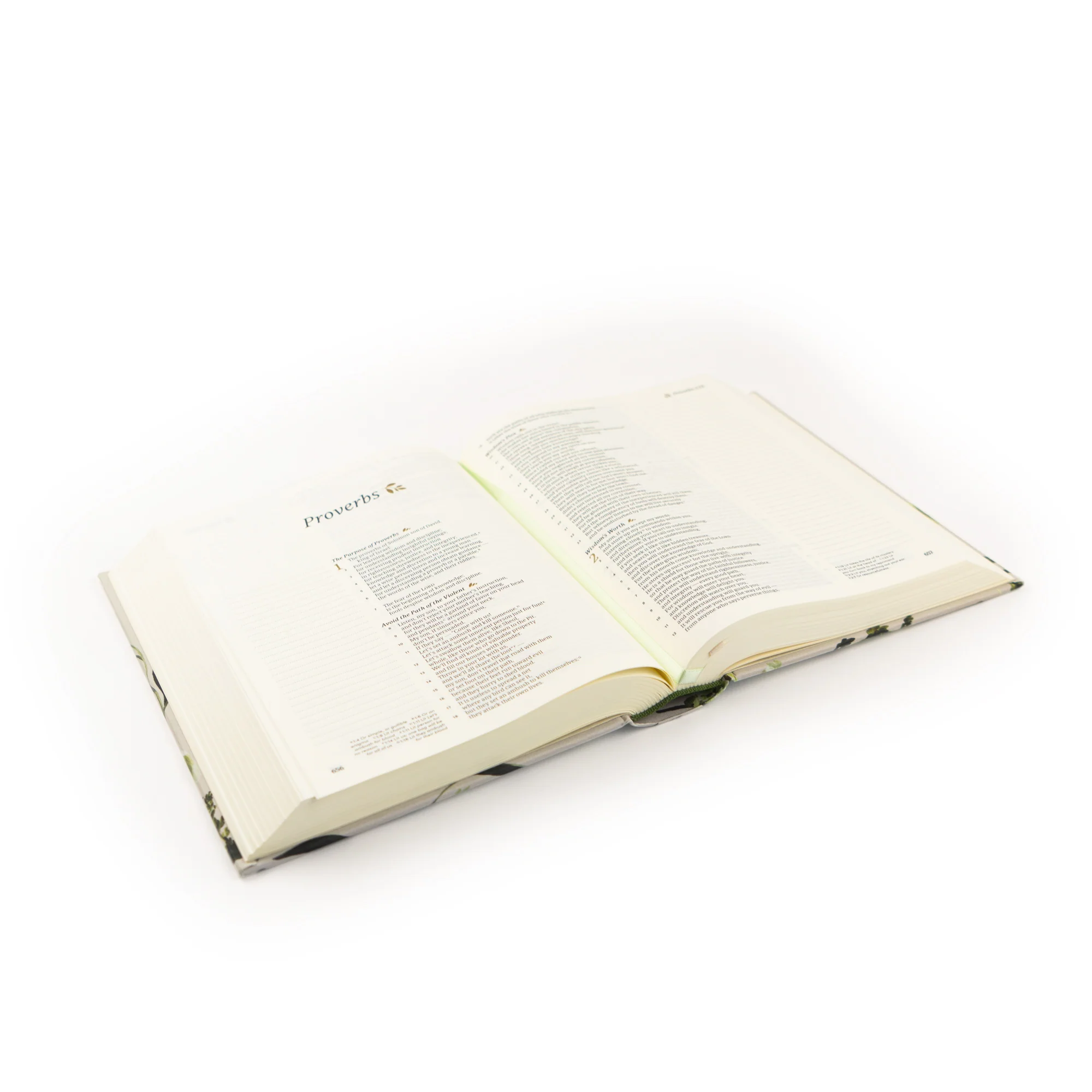 CSB Notetaking Bible: Dorset Theme - Image 6