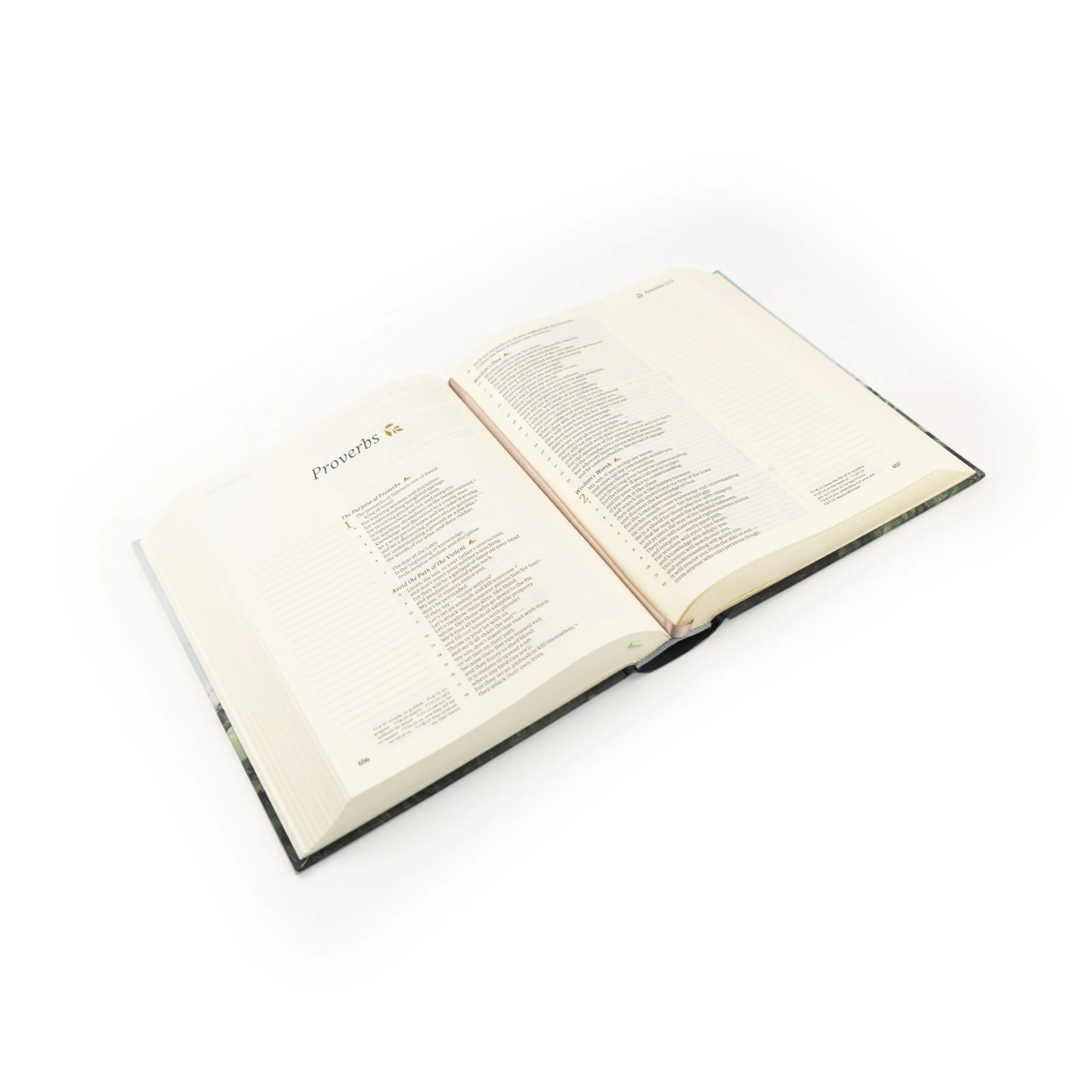 CSB Notetaking Bible: Dublin Theme - Image 6