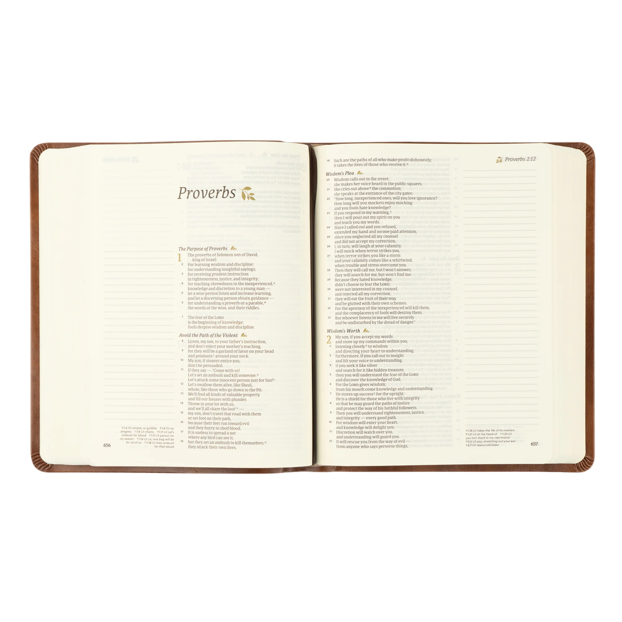 CSB Notetaking Bible: Edinburgh Theme - Image 5