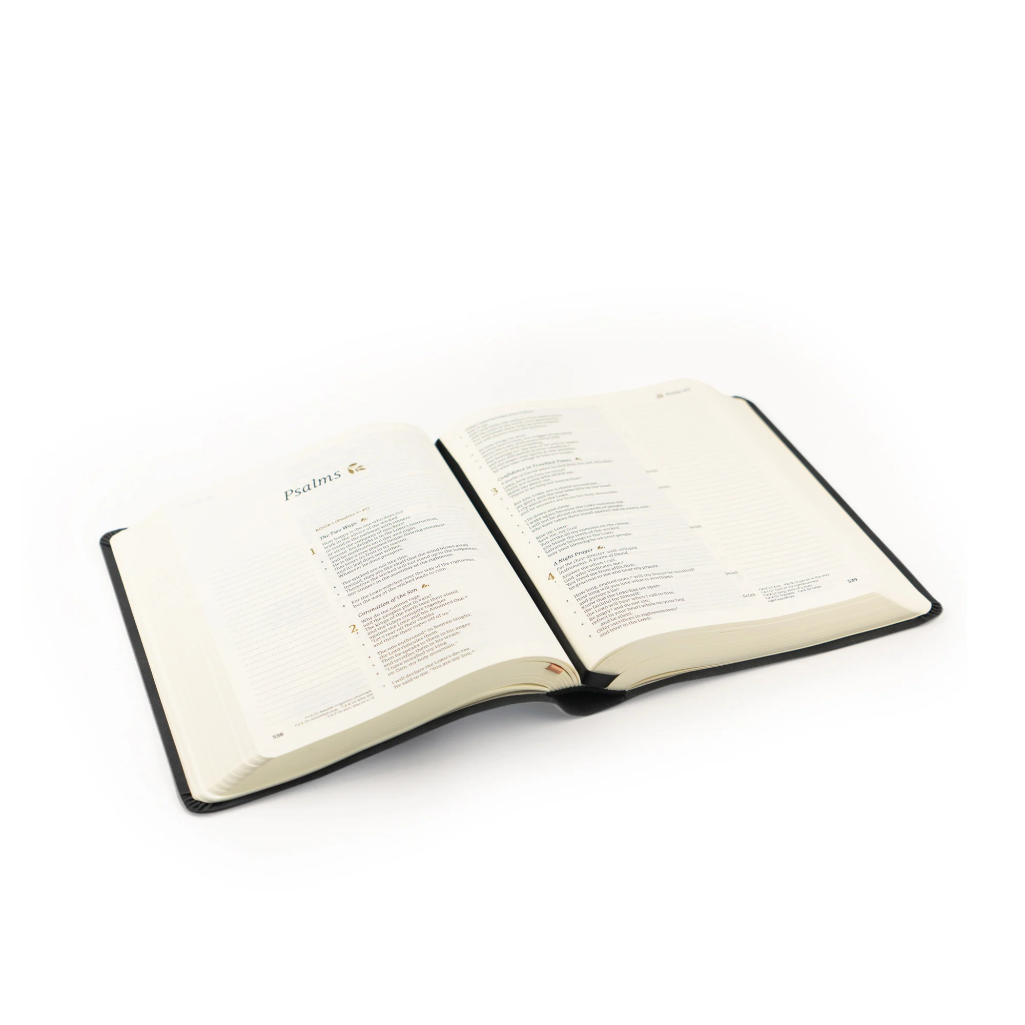 CSB Notetaking Bible: Jerusalem Theme - Image 6