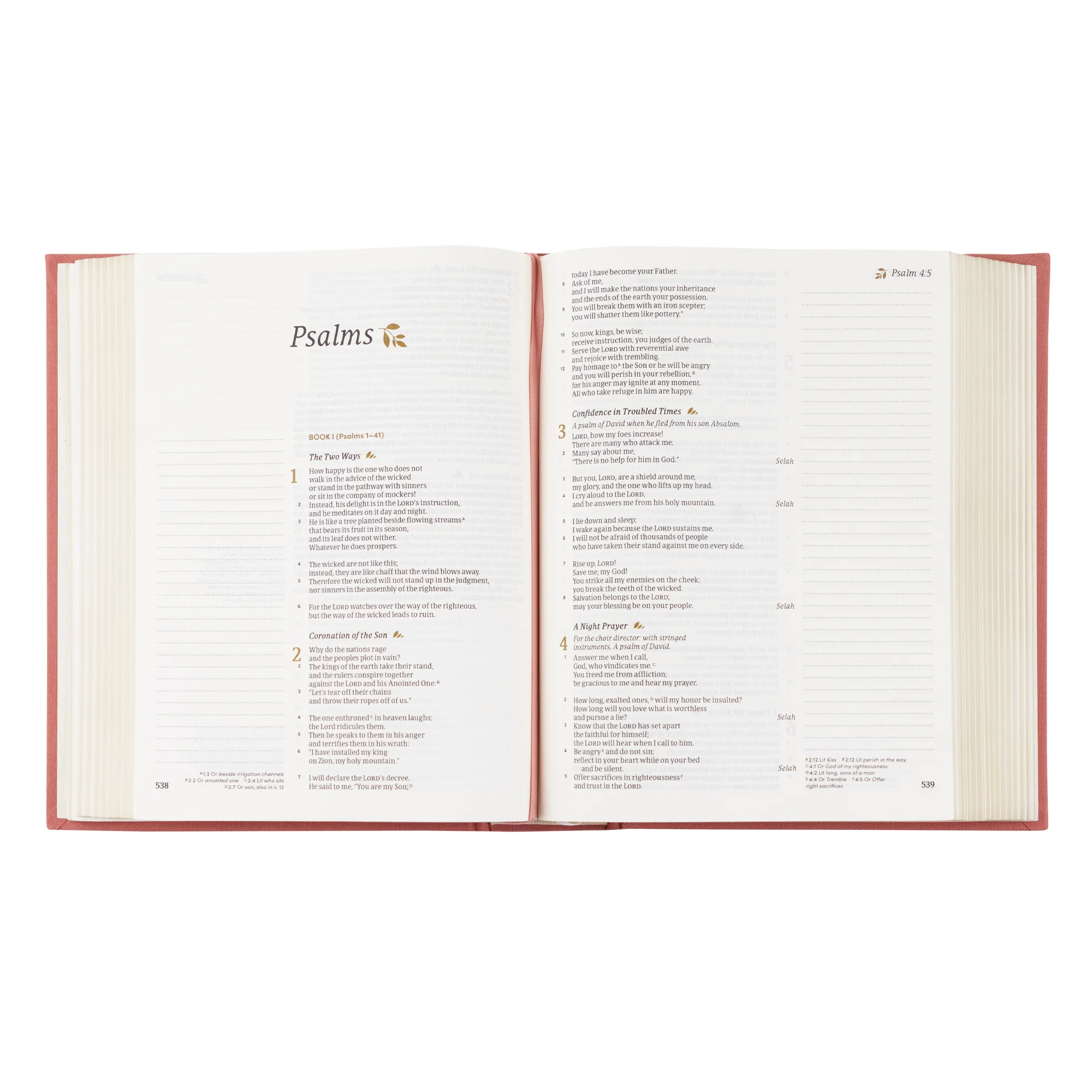 CSB Notetaking Bible: Rosedal Theme - Image 5
