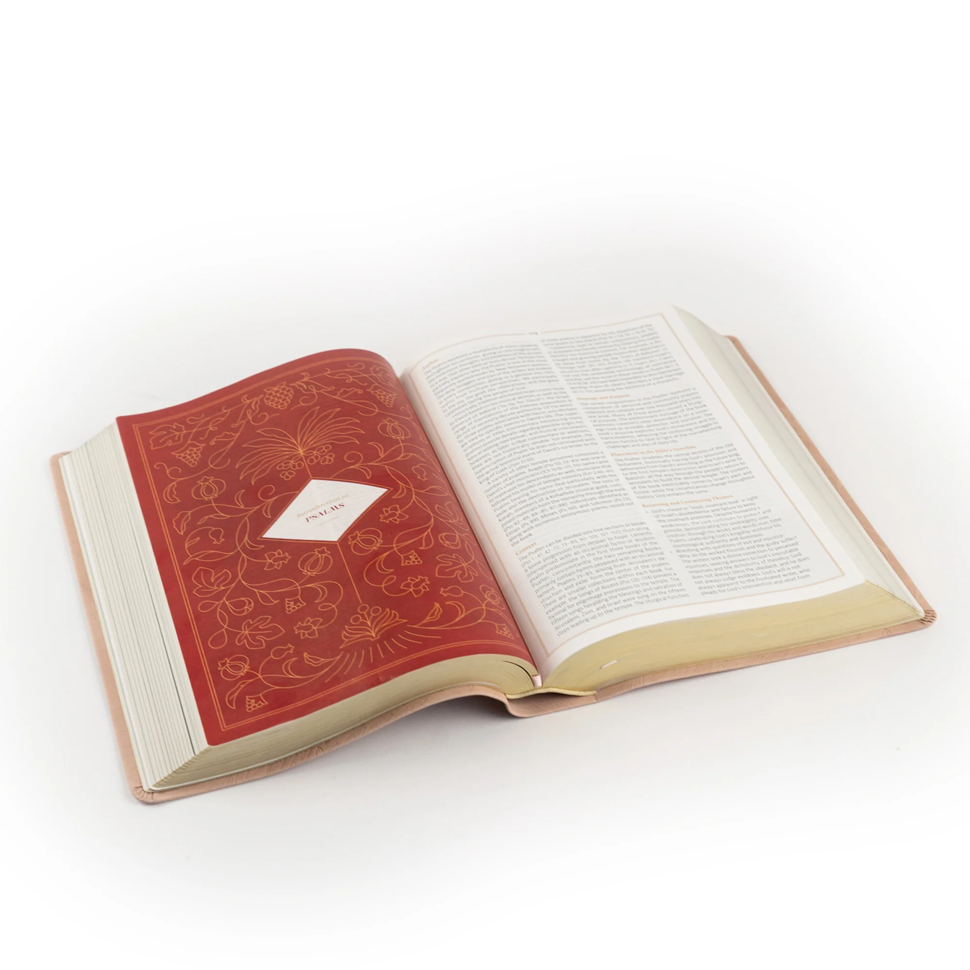 CSB Women's Study Bible: Sonora Theme - Image 12