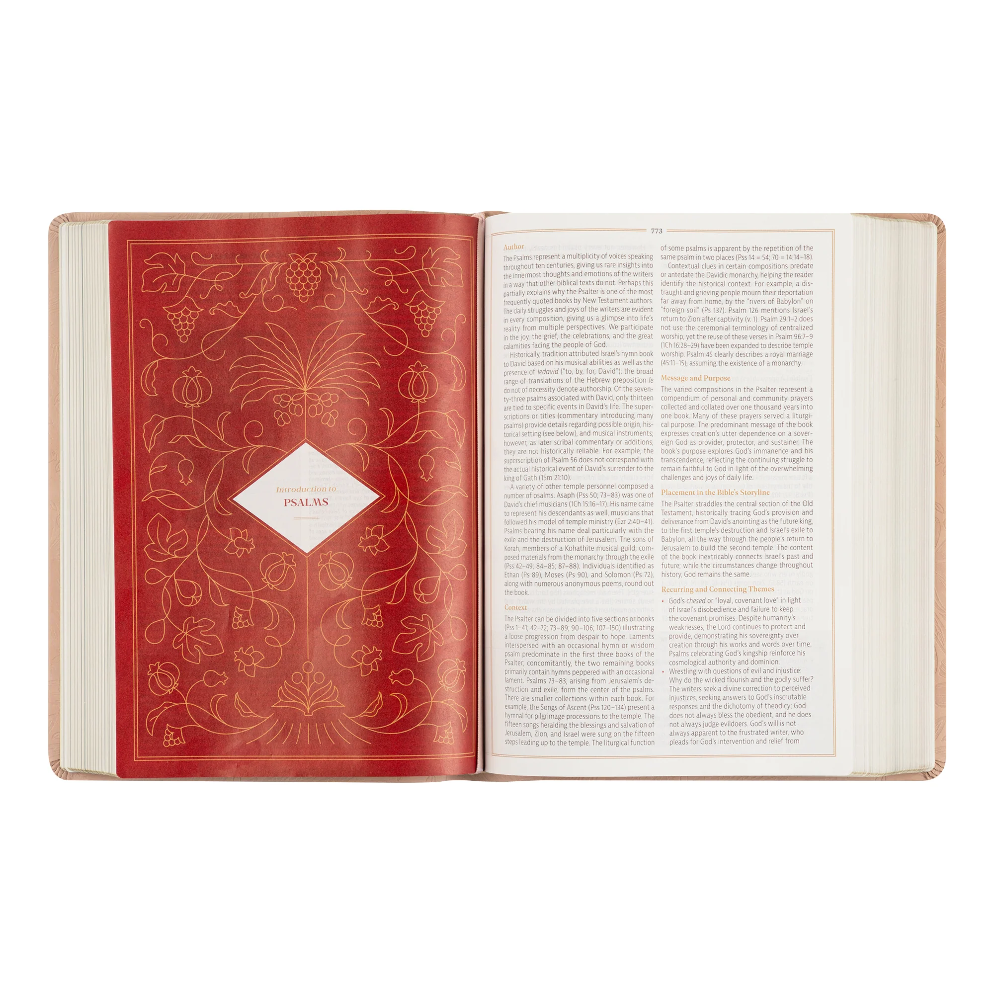 CSB Women's Study Bible: Sonora Theme - Image 5