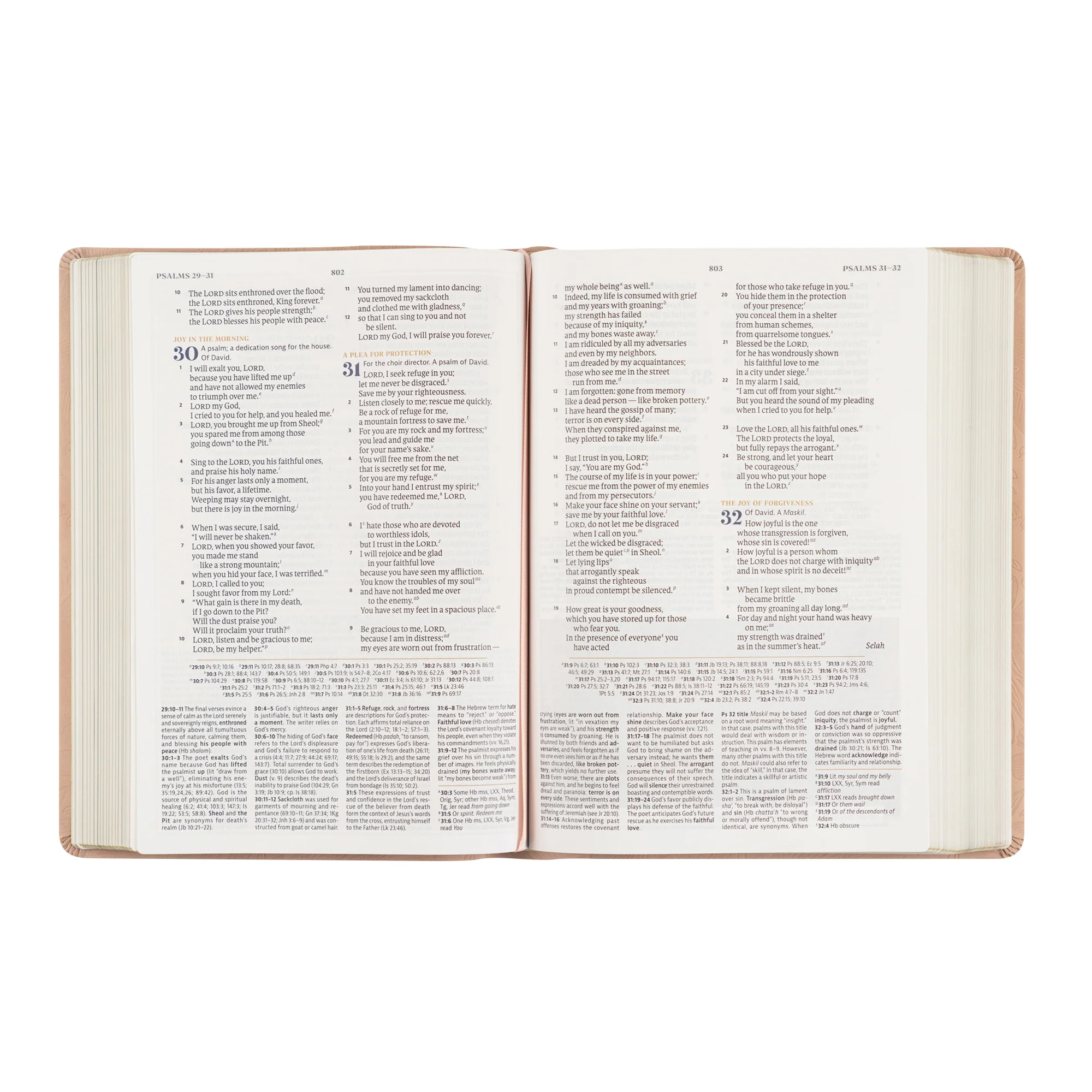 CSB Women's Study Bible: Sonora Theme - Image 6