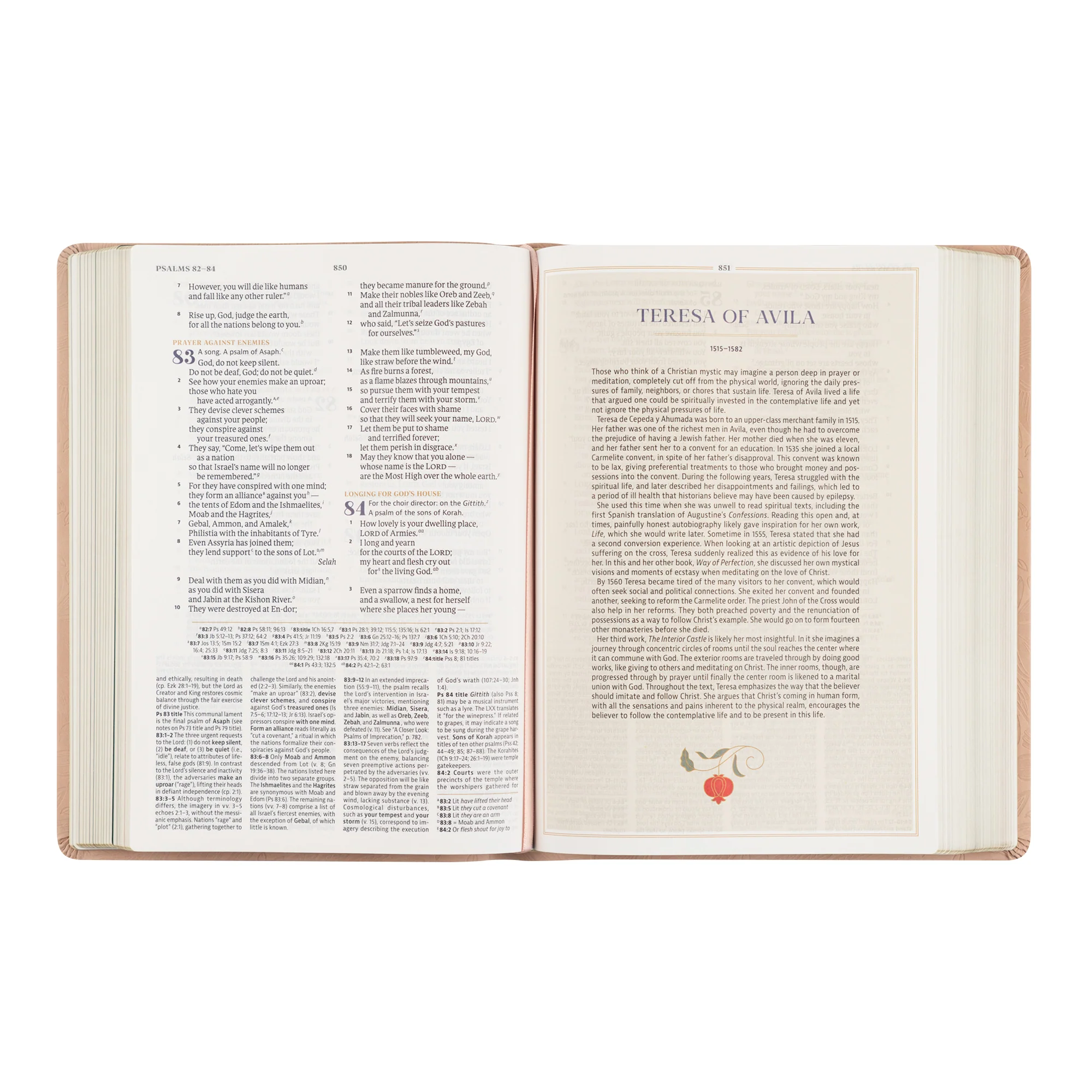 CSB Women's Study Bible: Sonora Theme - Image 7