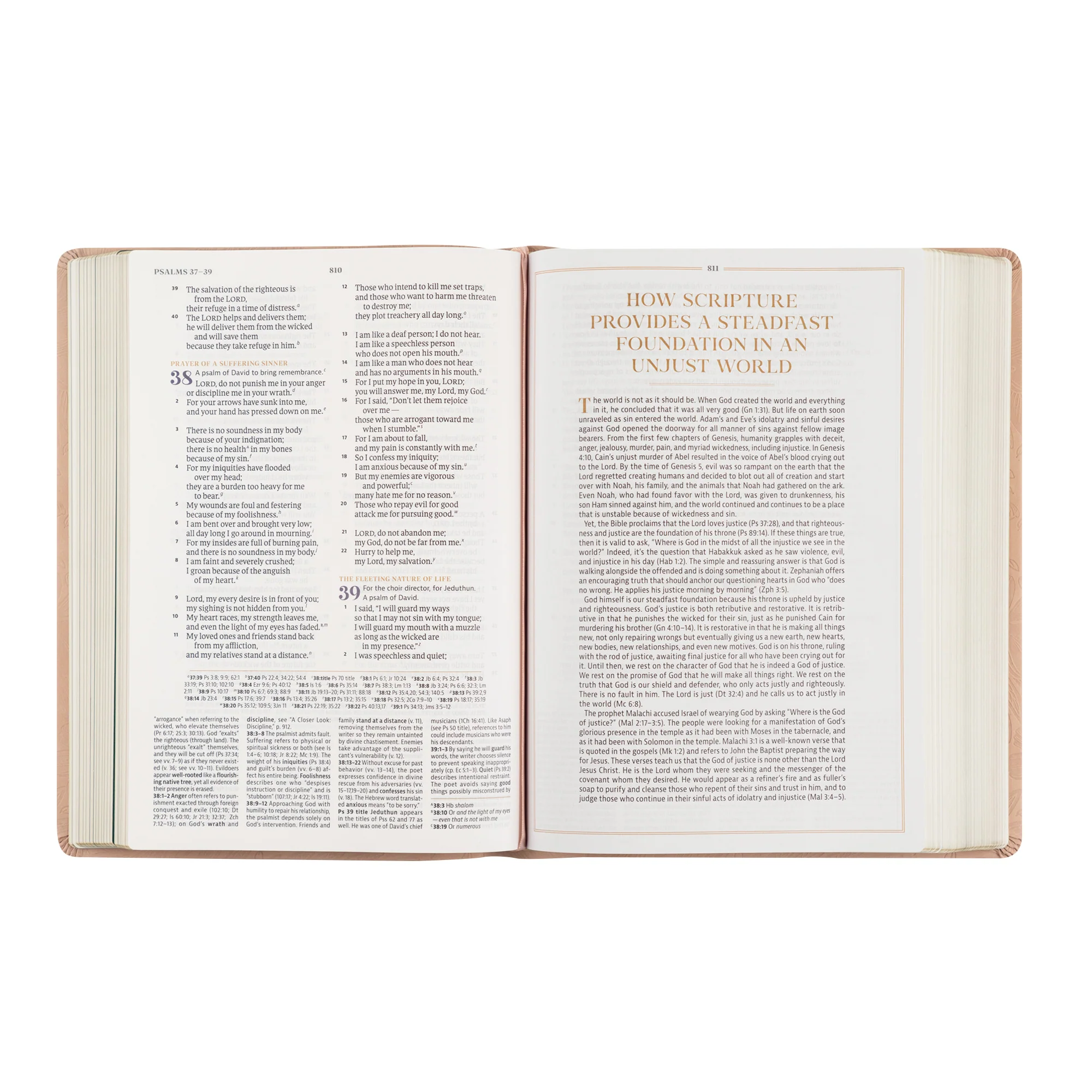 CSB Women's Study Bible: Sonora Theme - Image 8
