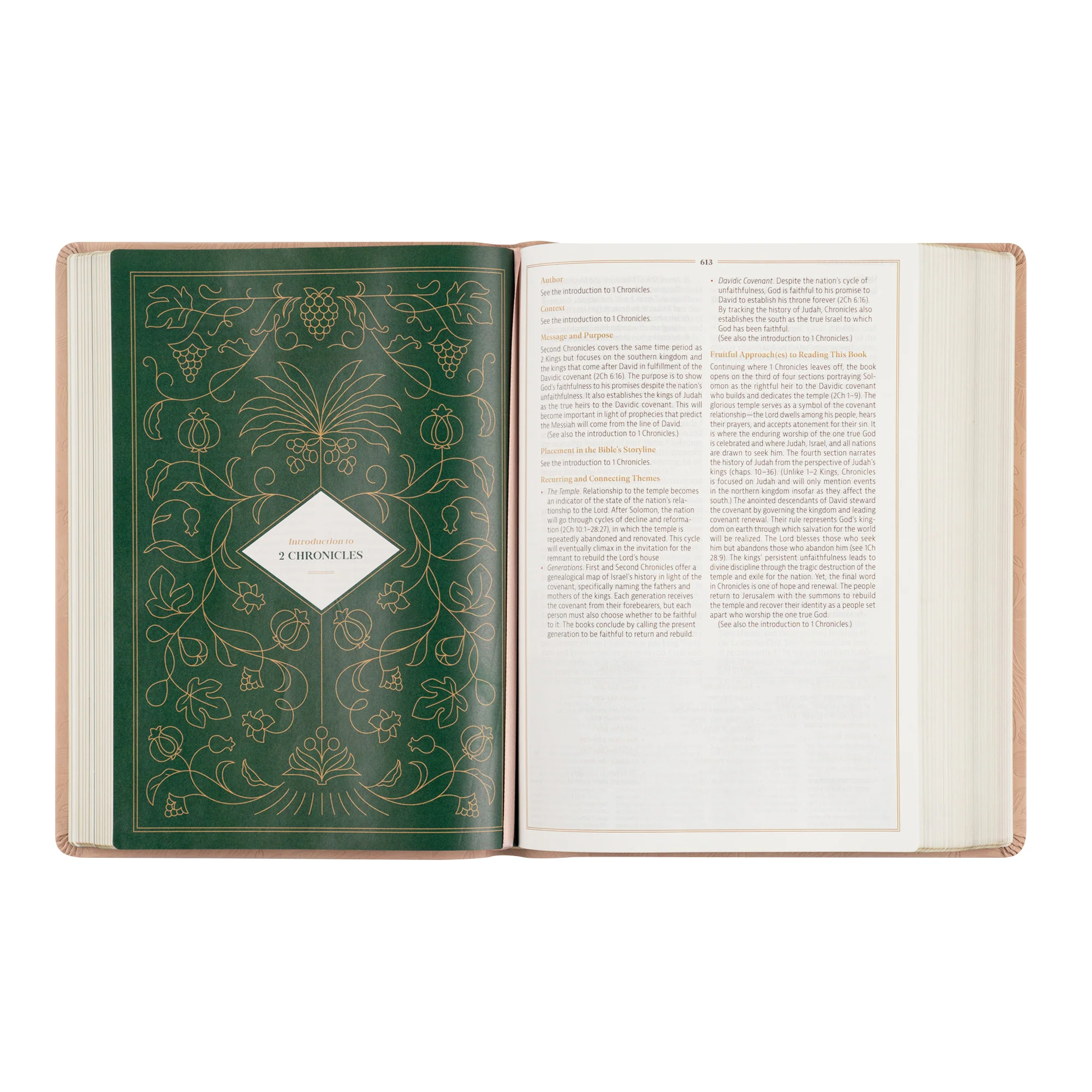 CSB Women's Study Bible: Sonora Theme - Image 9