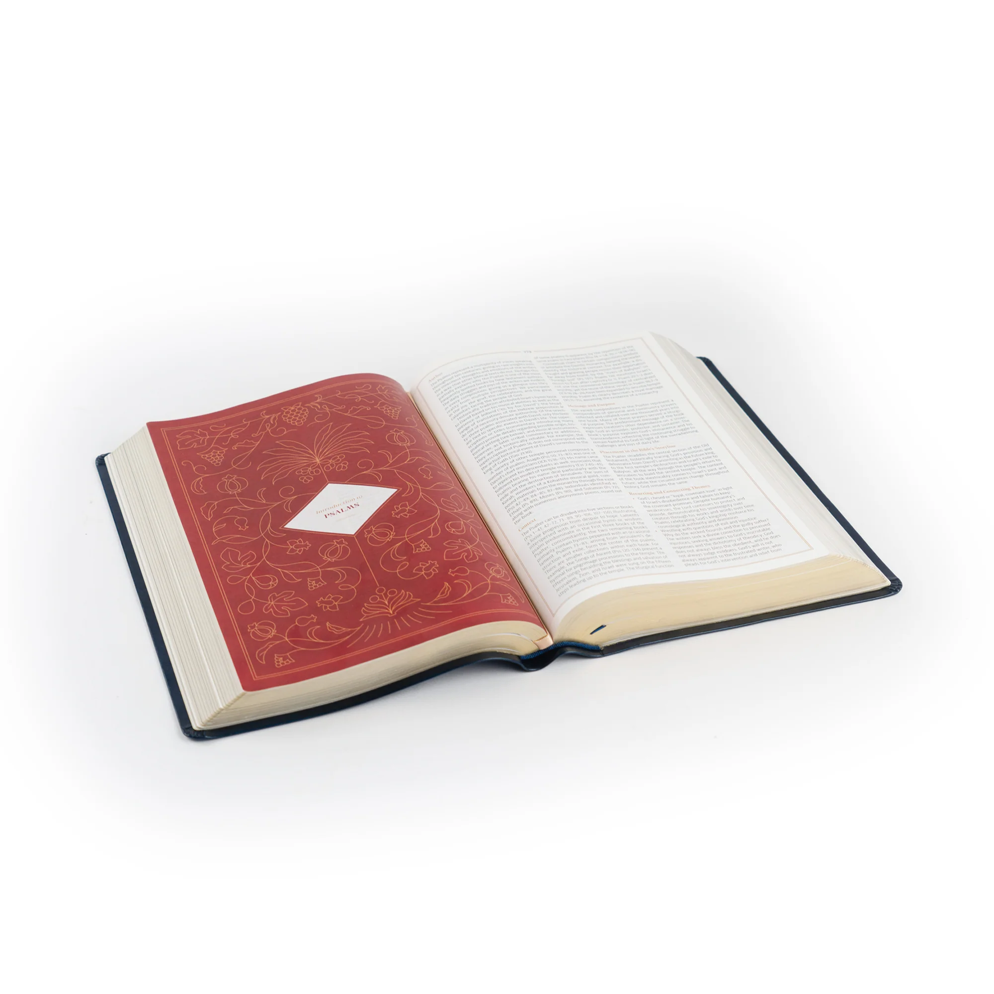 CSB Women's Study Bible: Versailles Theme - Image 10