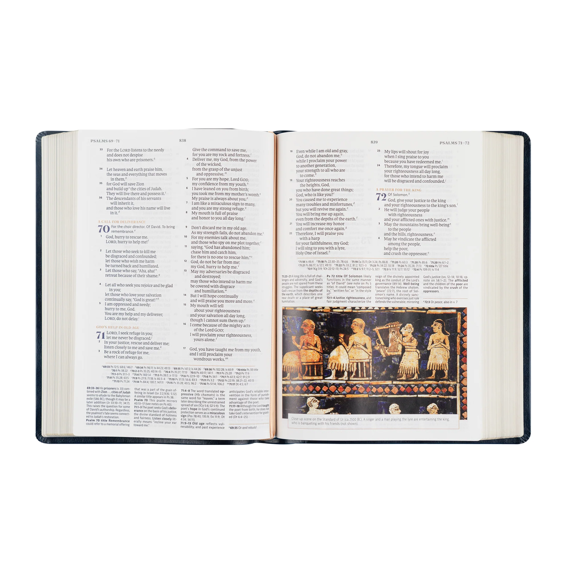 CSB Women's Study Bible: Versailles Theme - Image 5