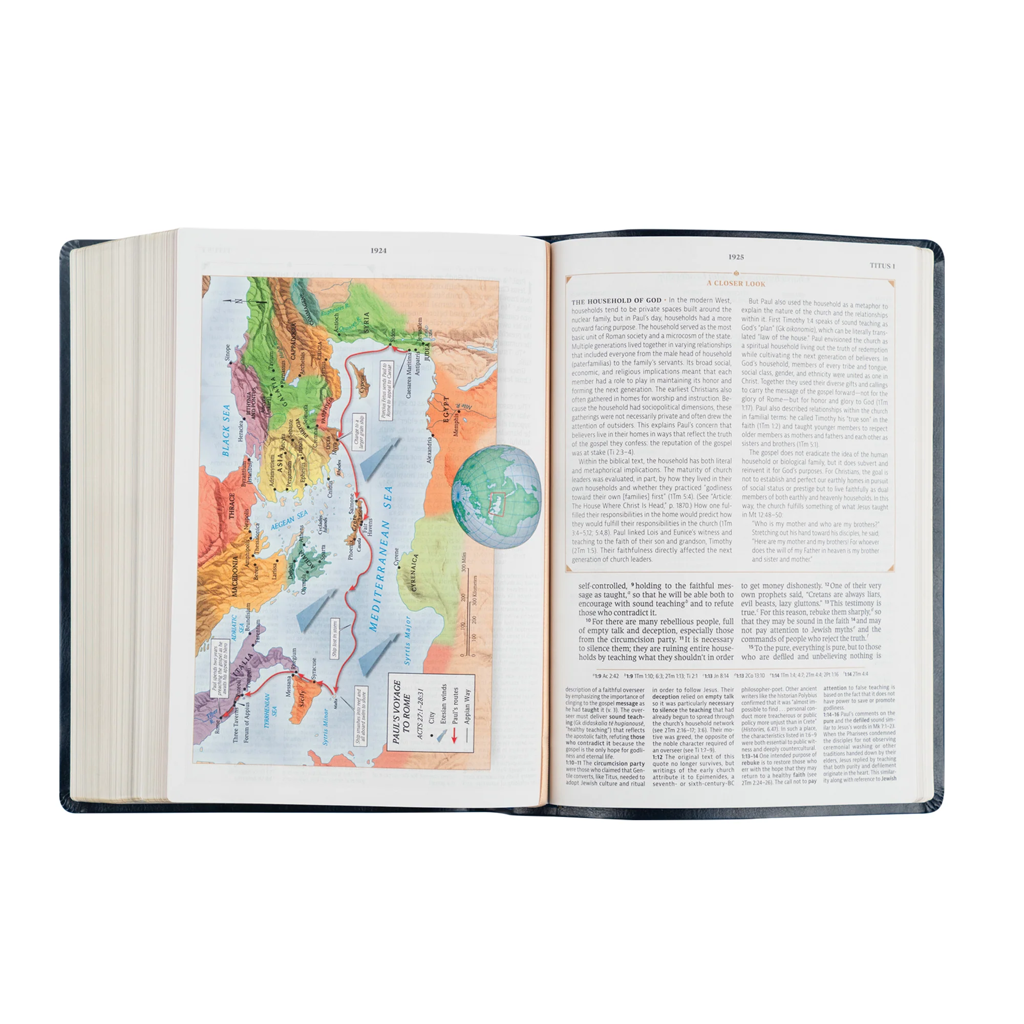 CSB Women's Study Bible: Versailles Theme - Image 6
