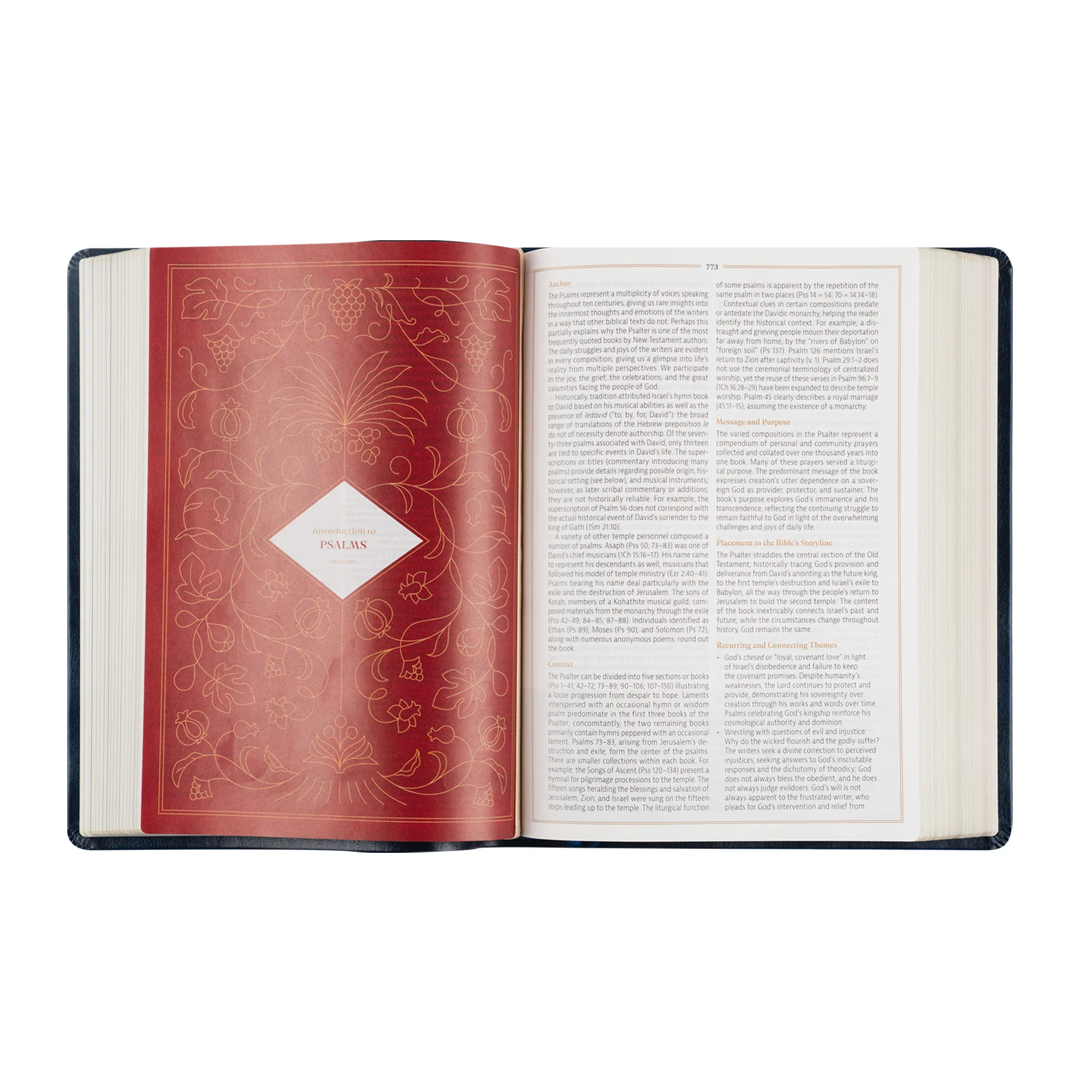 CSB Women's Study Bible: Versailles Theme - Image 7