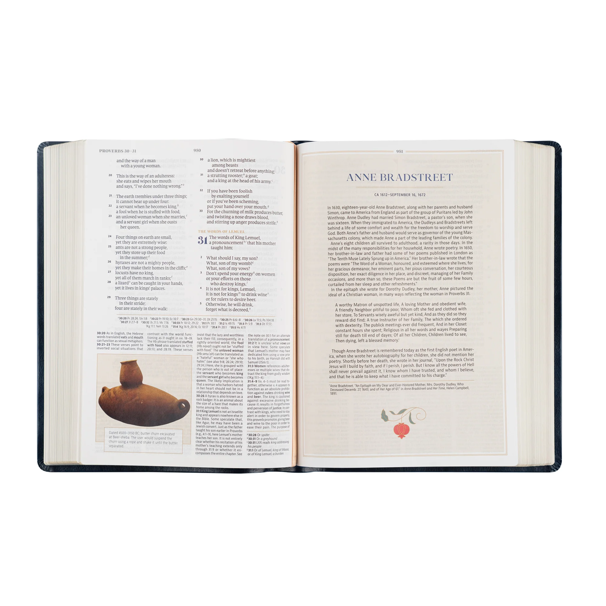 CSB Women's Study Bible: Versailles Theme - Image 8