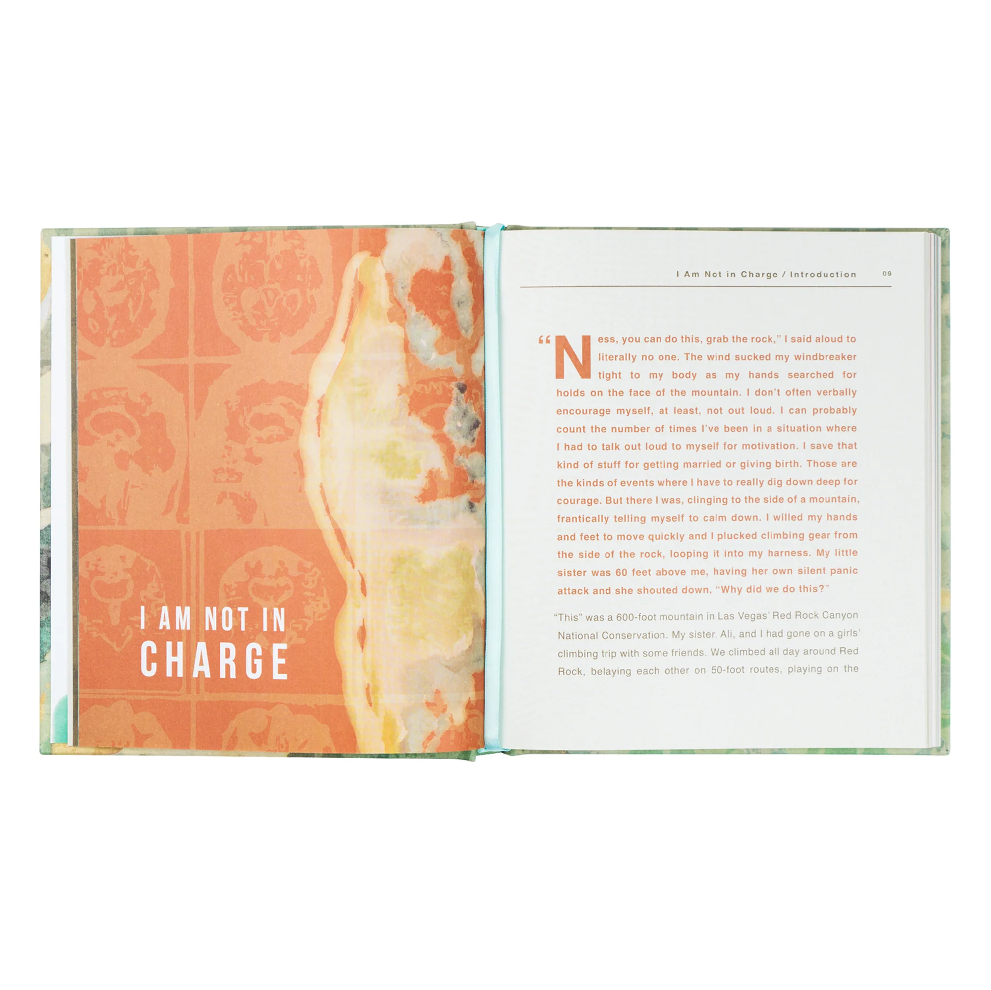 I Am Not In Charge by Ness Cannon - Image 7