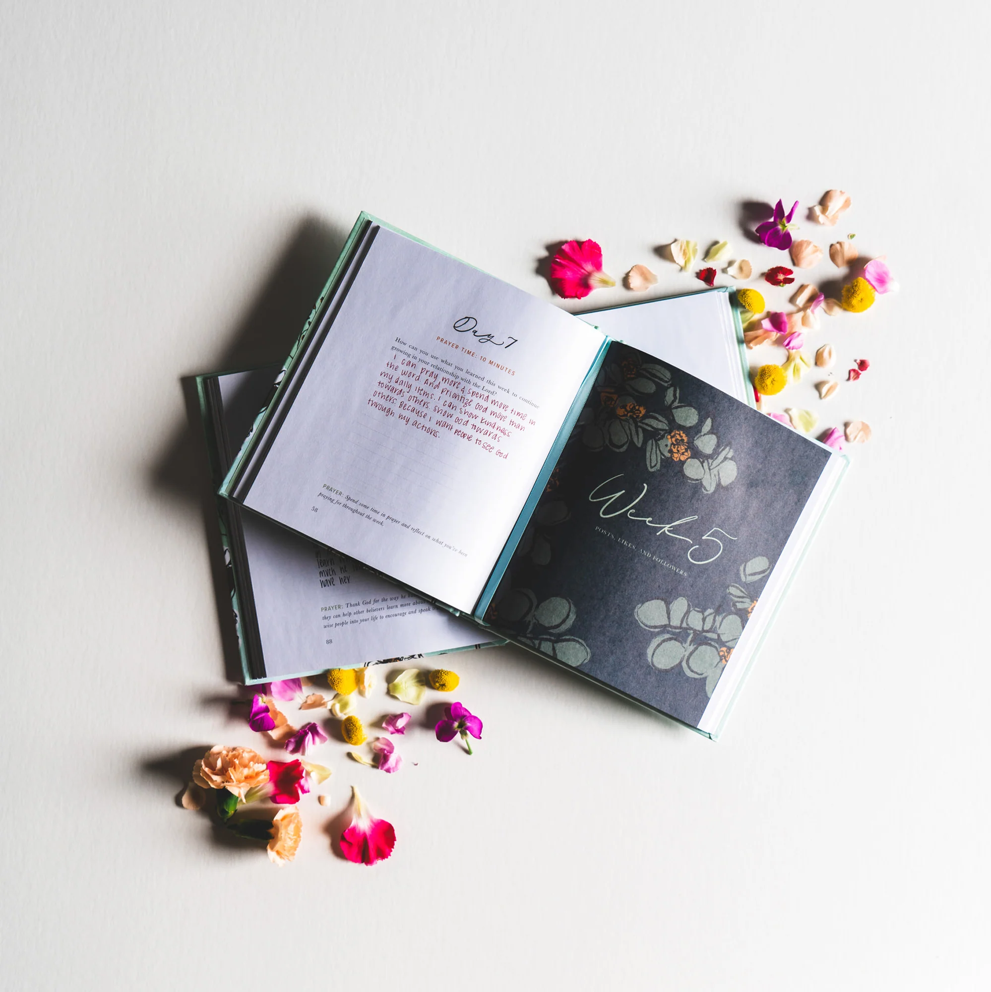 Rooted to Rise by Haley Crabtree, a Study for High School Girls - Image 12
