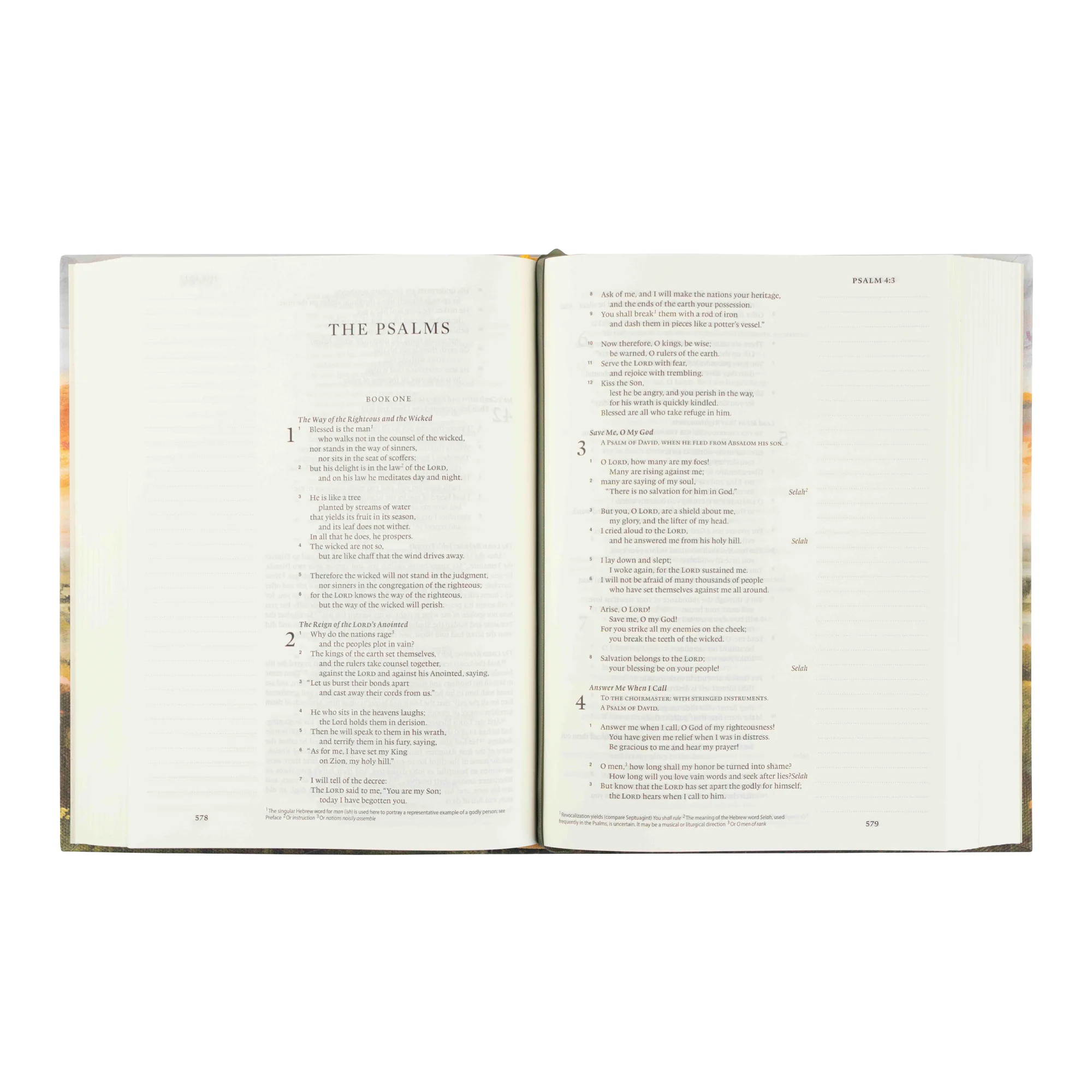 ESV Journaling Bible: Florence Theme - Image 5