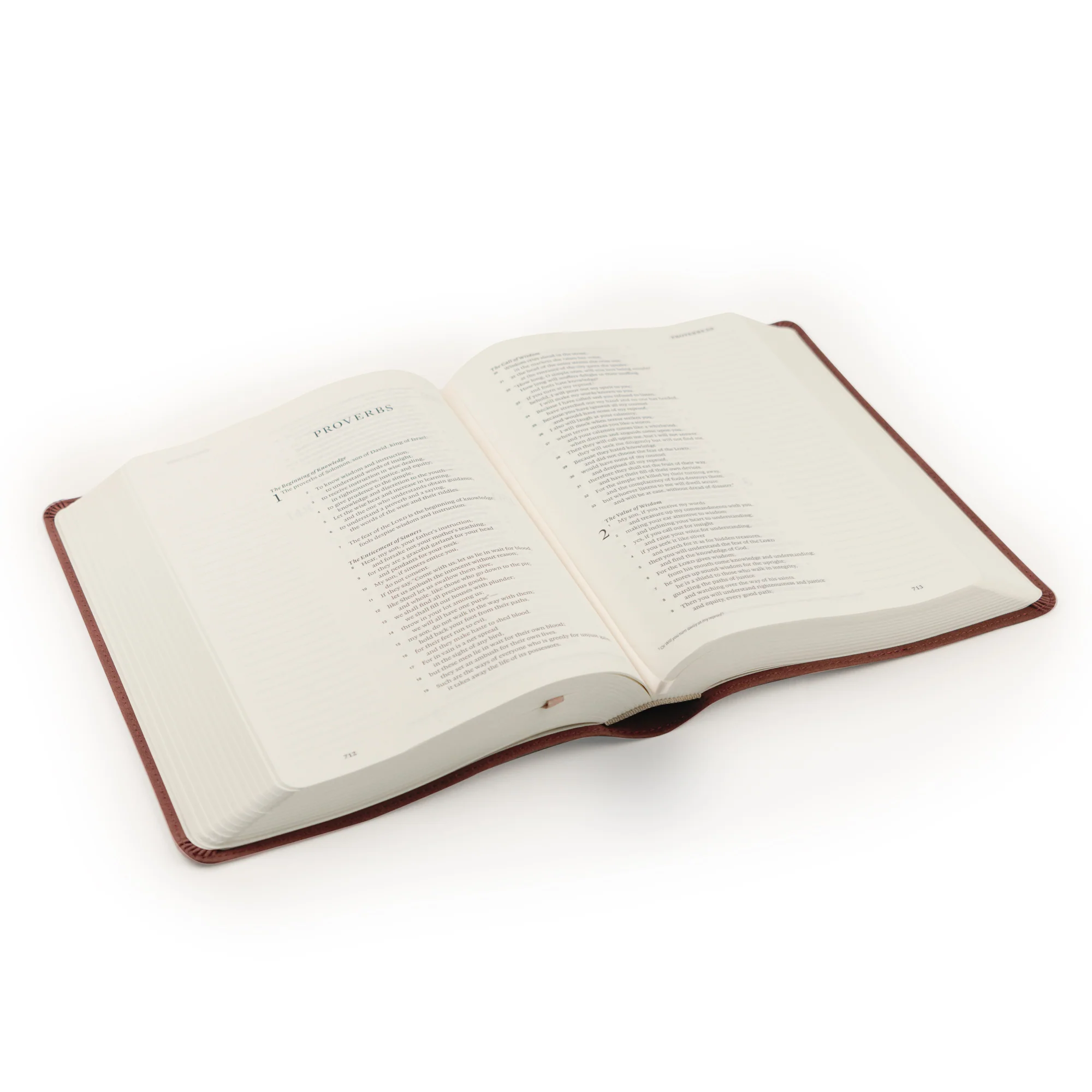 ESV Journaling Bible: Helena Theme - Image 6