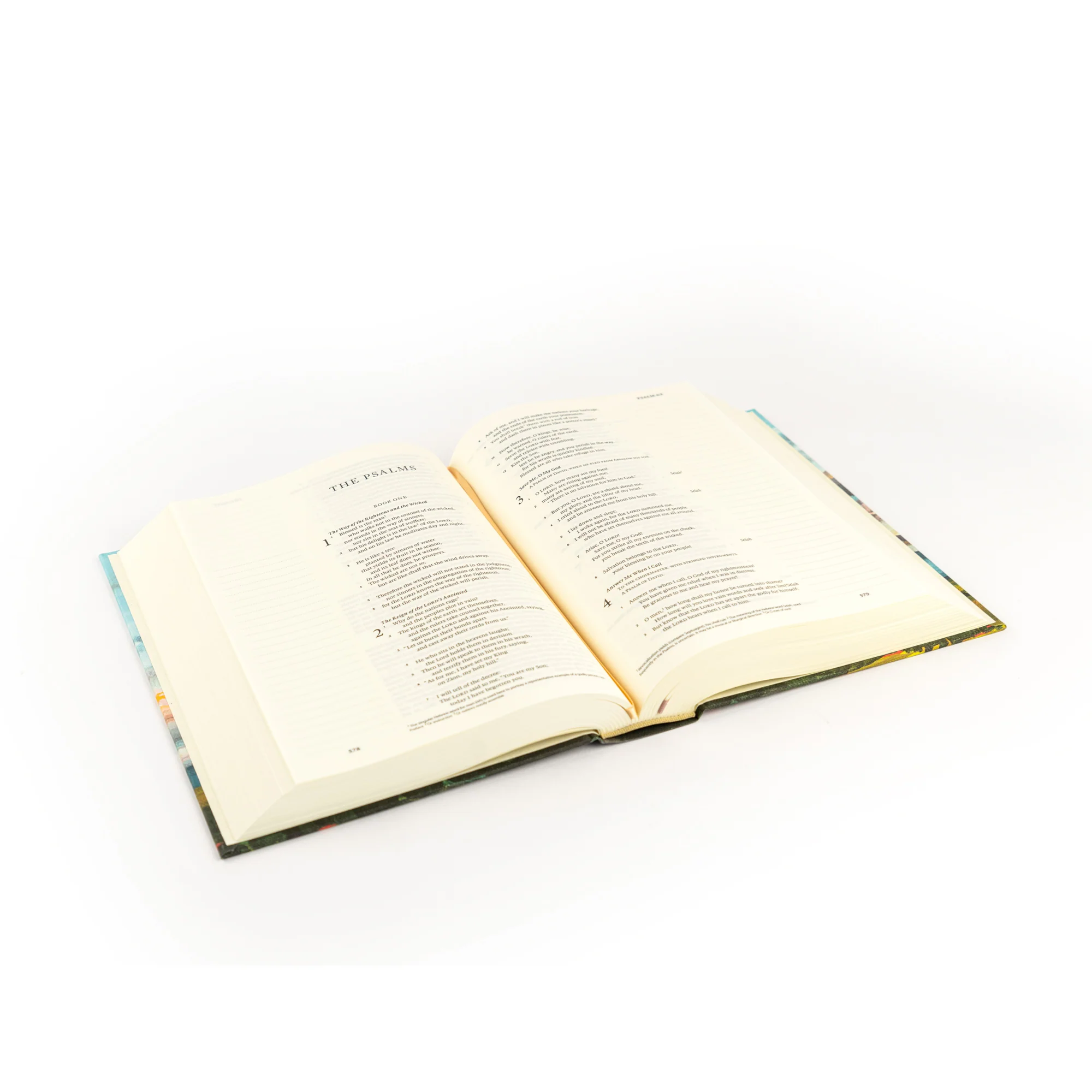 ESV Journaling Bible: Santa Lucia Theme - Image 6