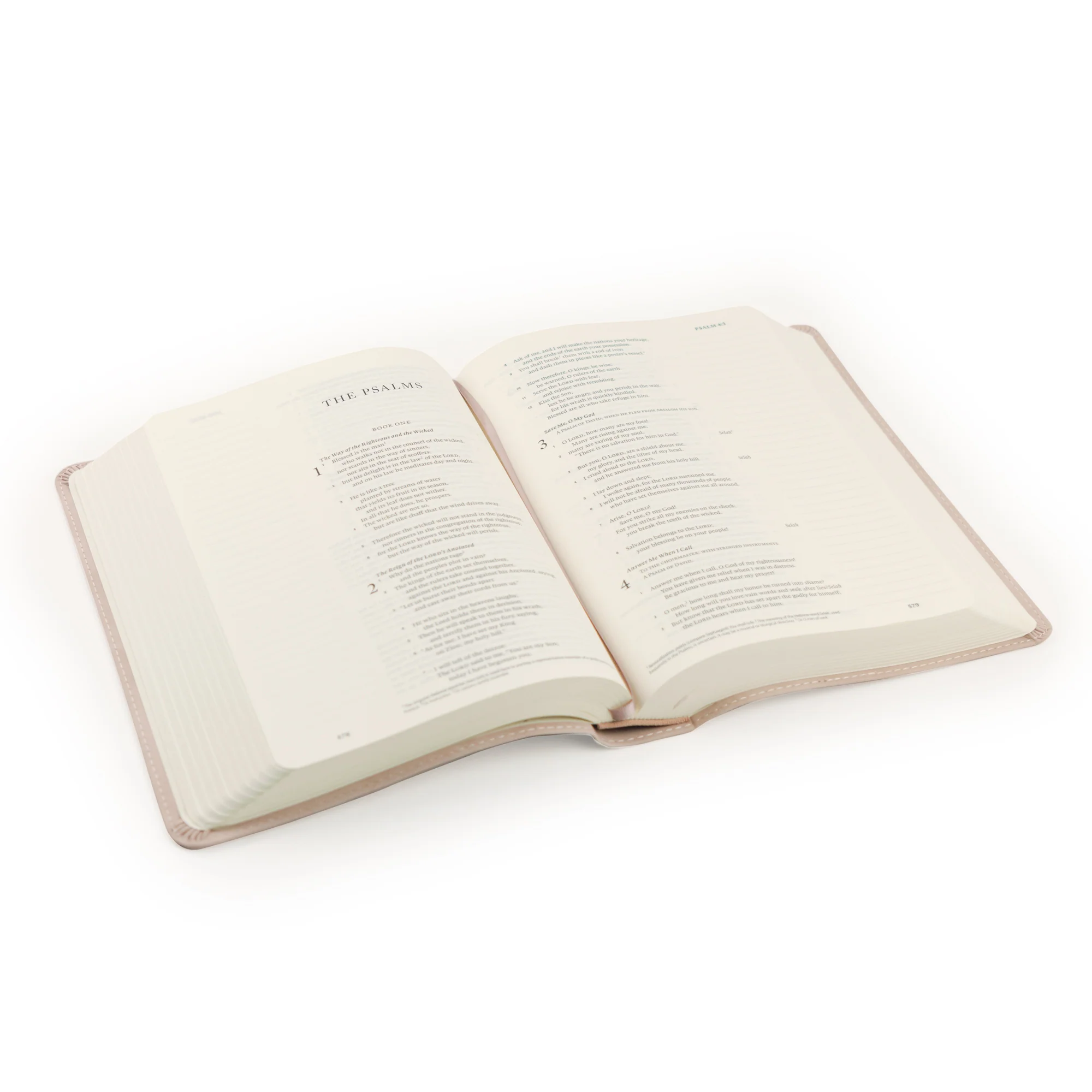 ESV Journaling Bible: Shiloh Theme - Image 6