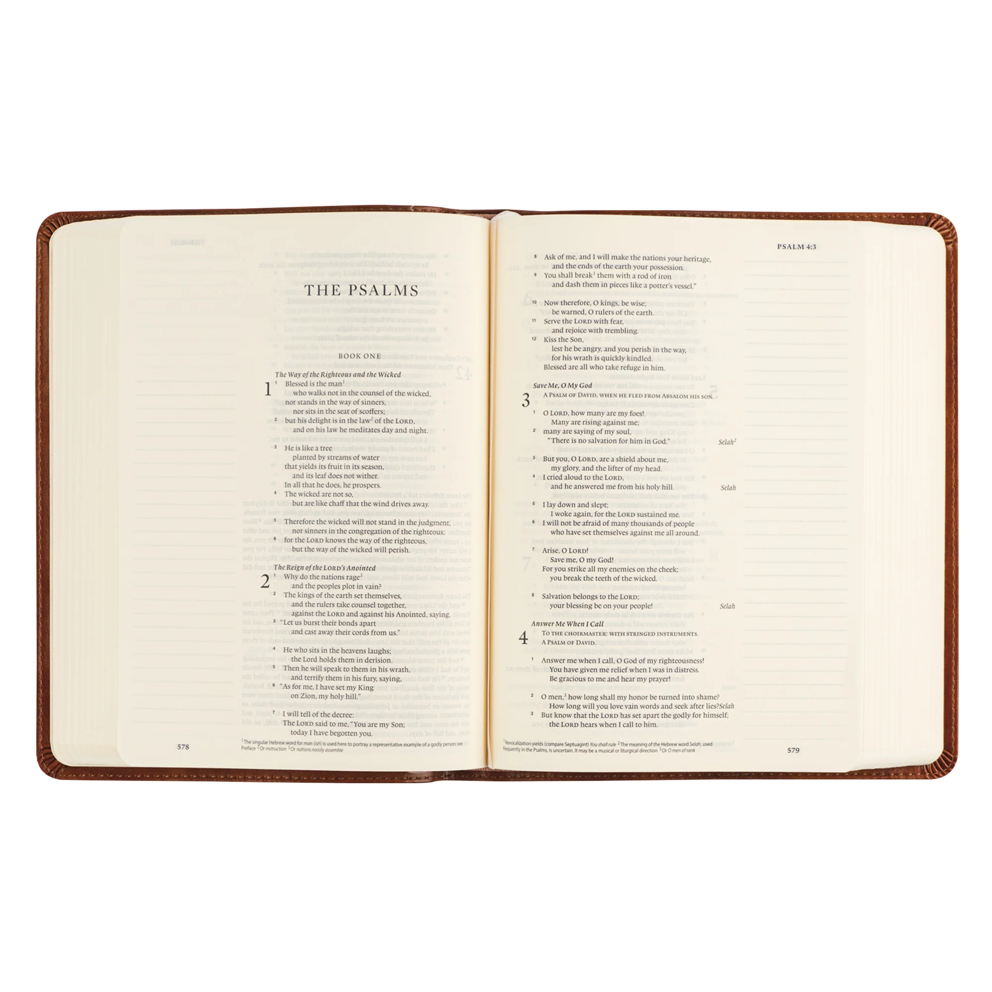 ESV Single Column Journaling Bible: Sierra Theme - Image 5