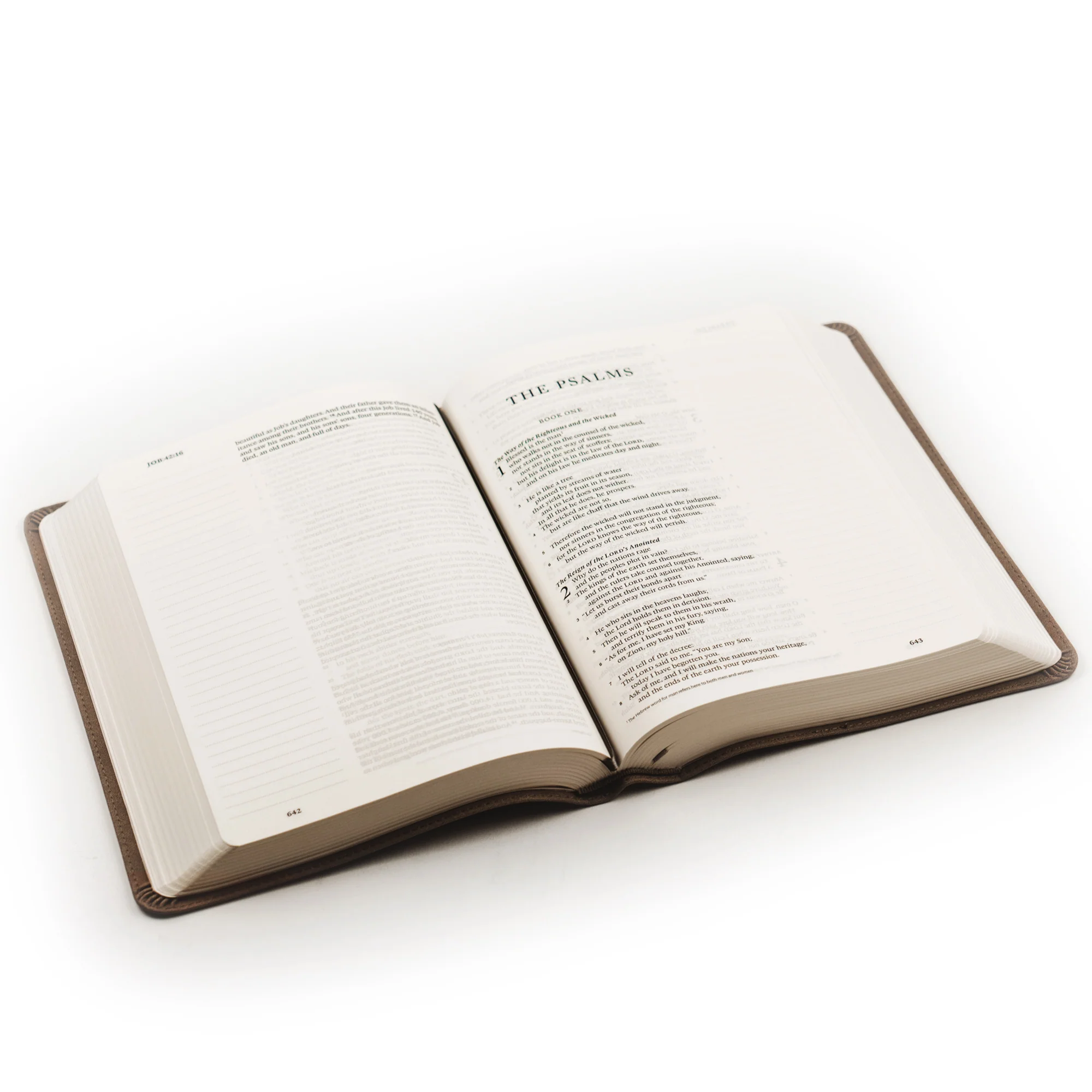 ESV Large Print Journaling Bible: Nara Theme - Image 6