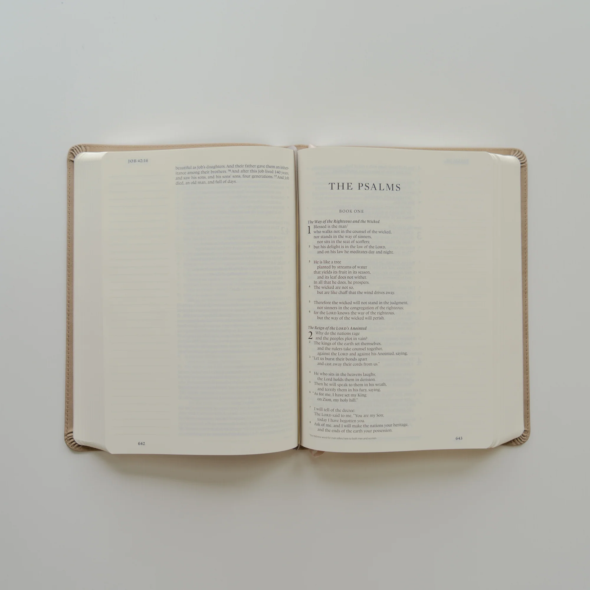 ESV Large Print Journaling Bible: Nara Theme - Image 8
