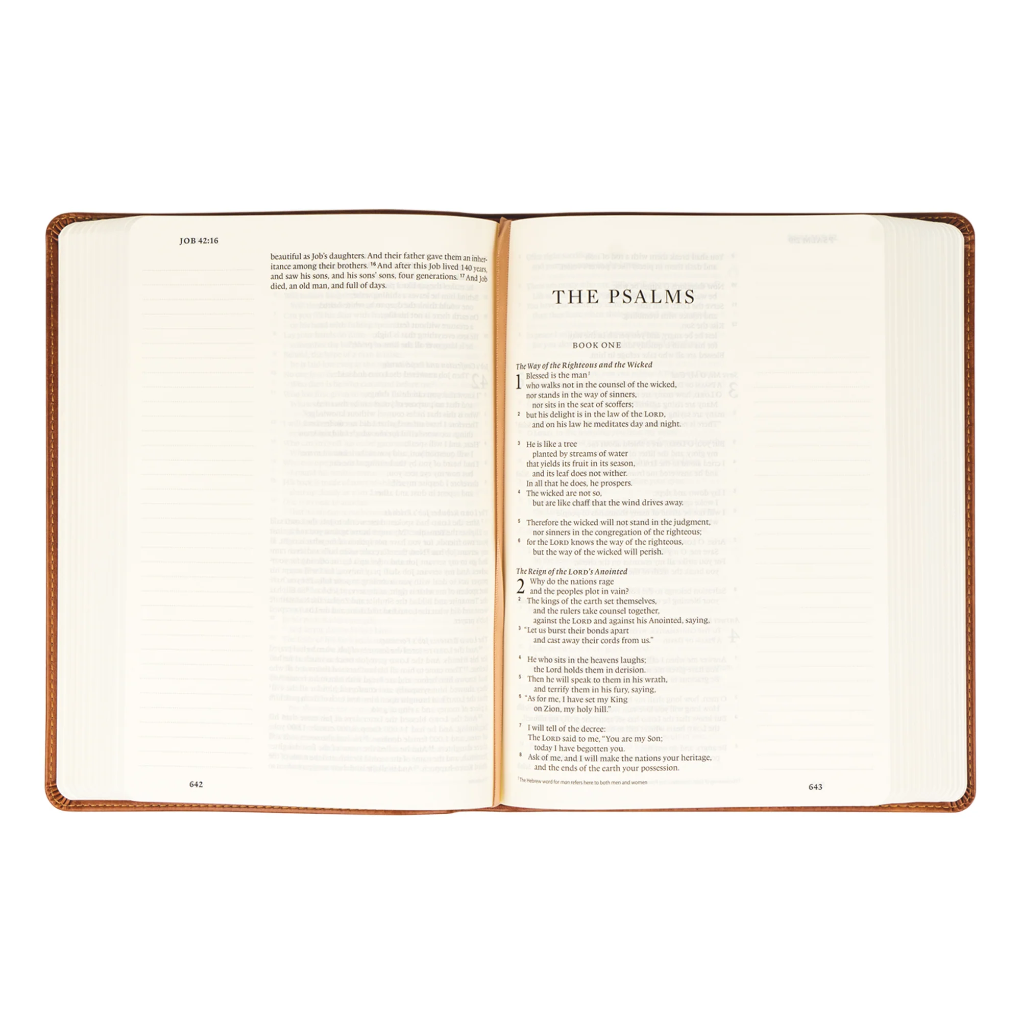 ESV Large Print Journaling Bible: Sierra Theme - Image 5