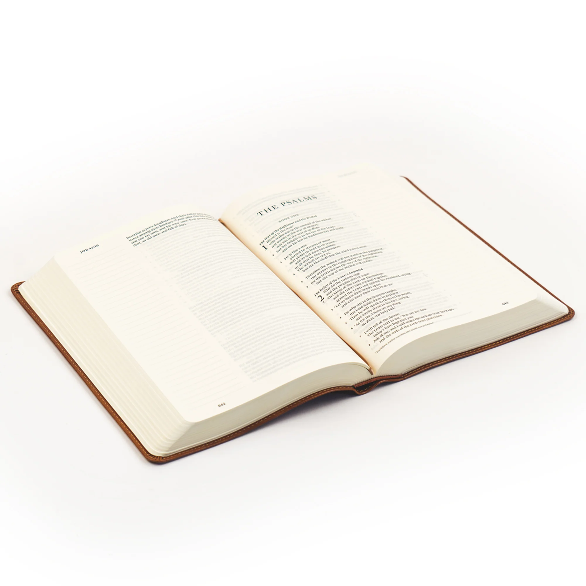 ESV Large Print Journaling Bible: Sierra Theme - Image 6