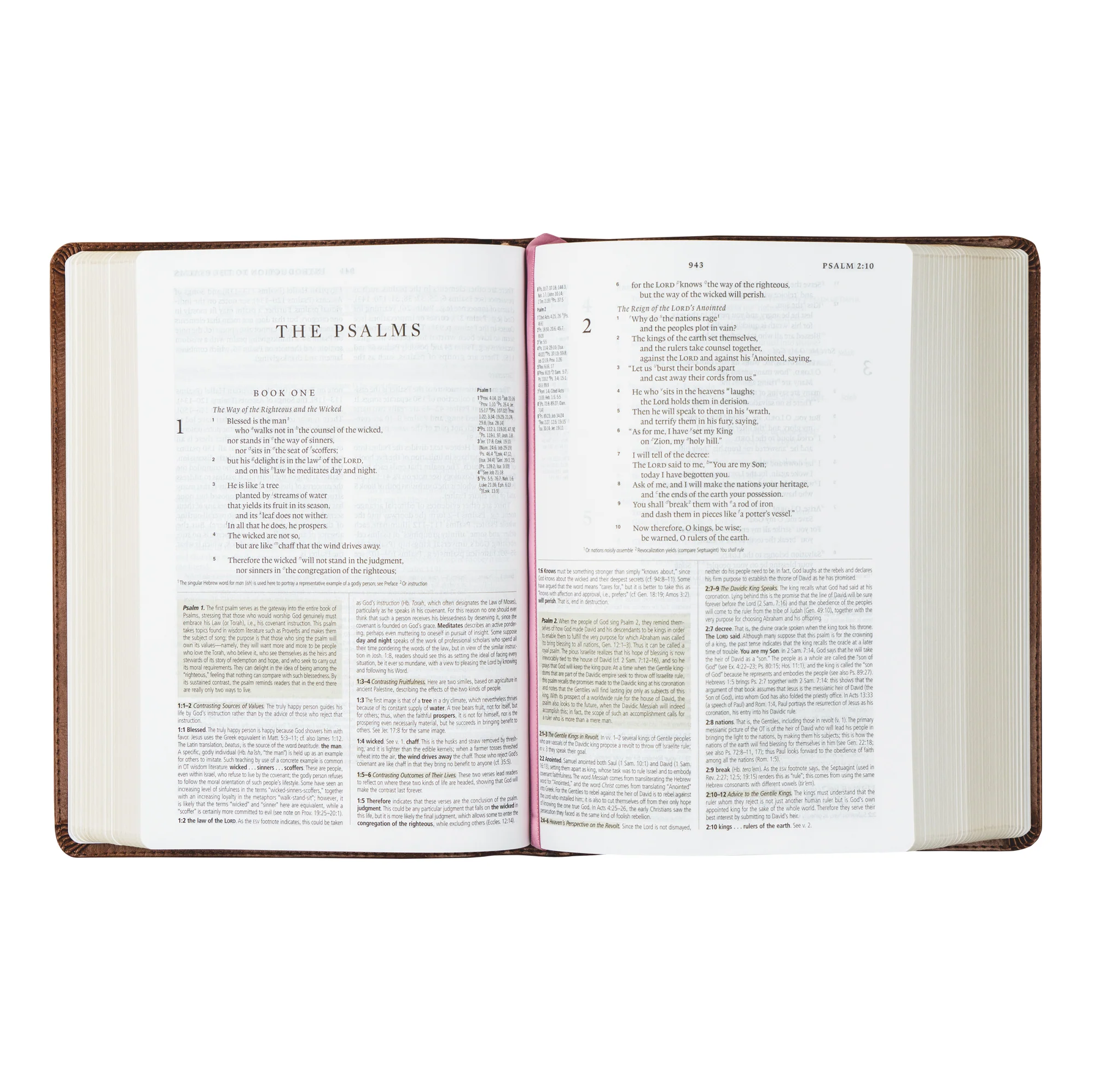 ESV Study Bible: Aurora Theme - Image 5