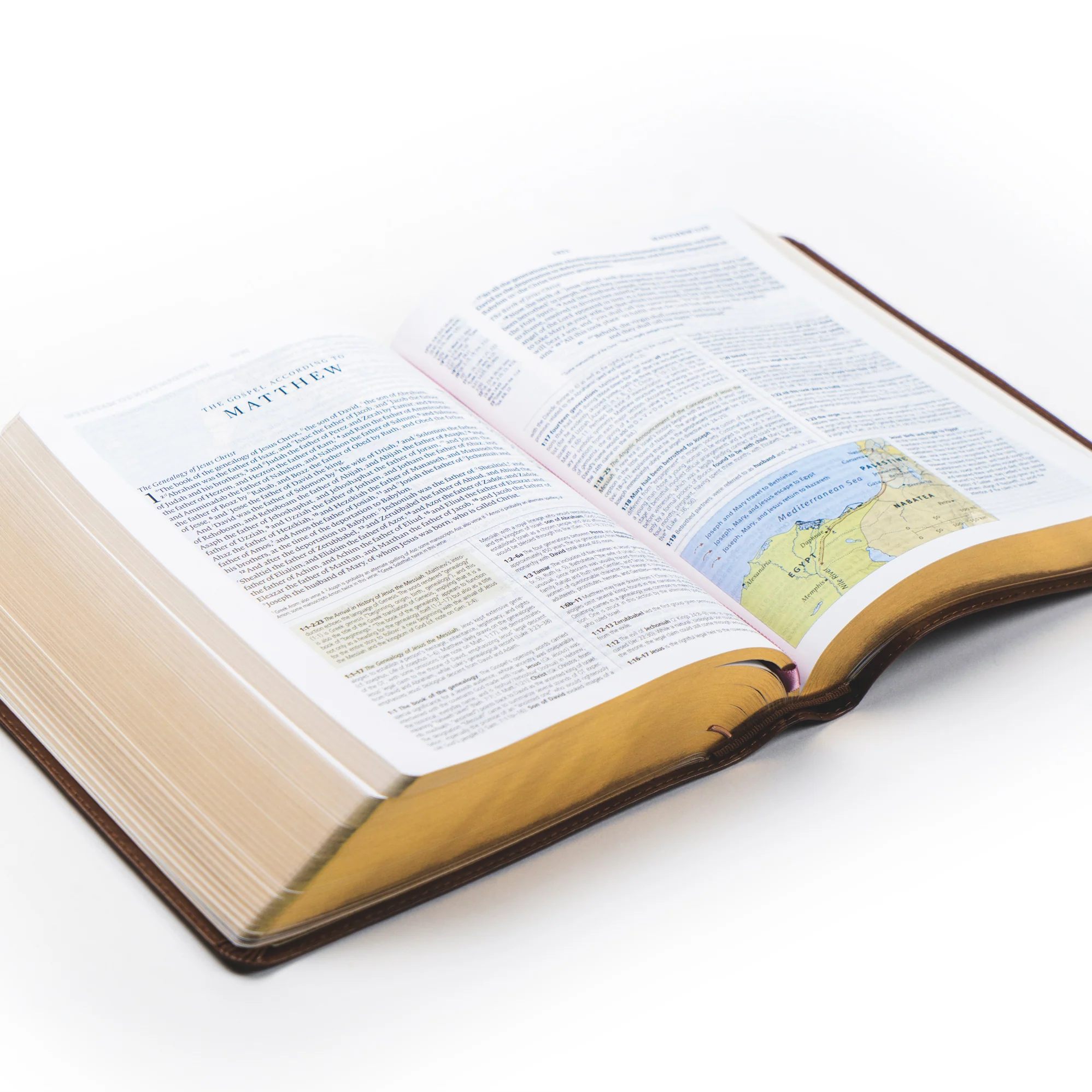 ESV Study Bible: Aurora Theme - Image 6