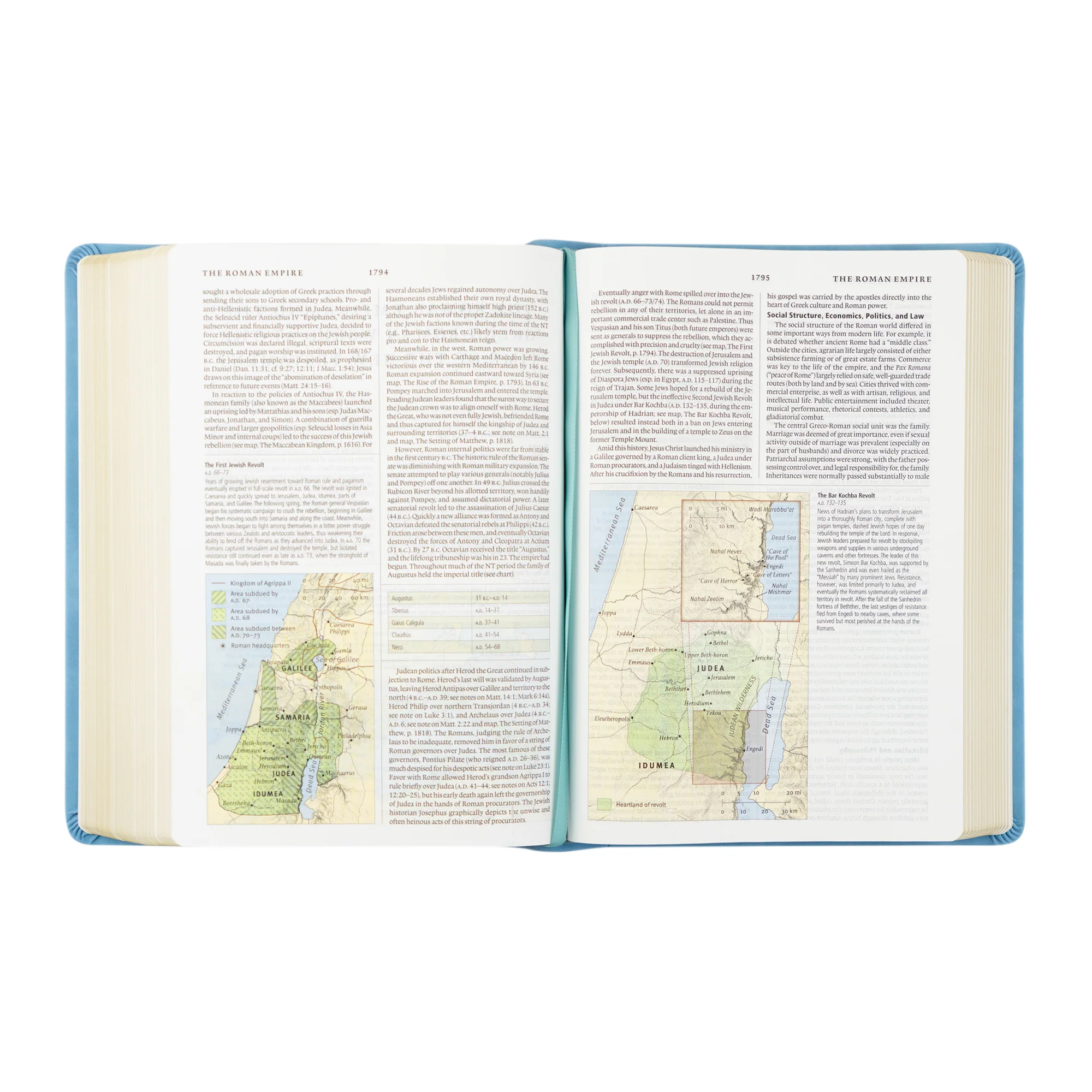 ESV Study Bible: Bethany Theme - Image 5