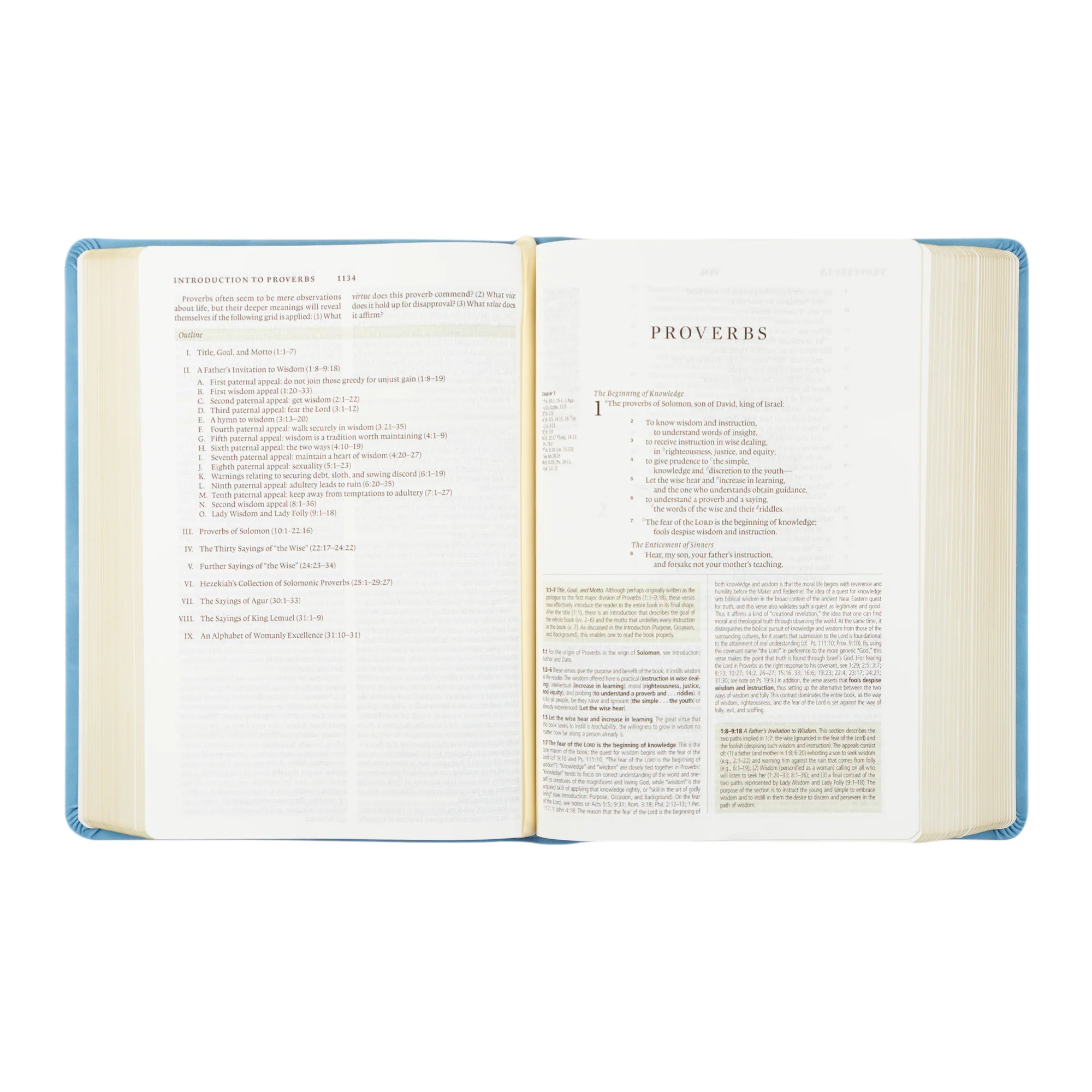 ESV Study Bible: Bethany Theme - Image 6