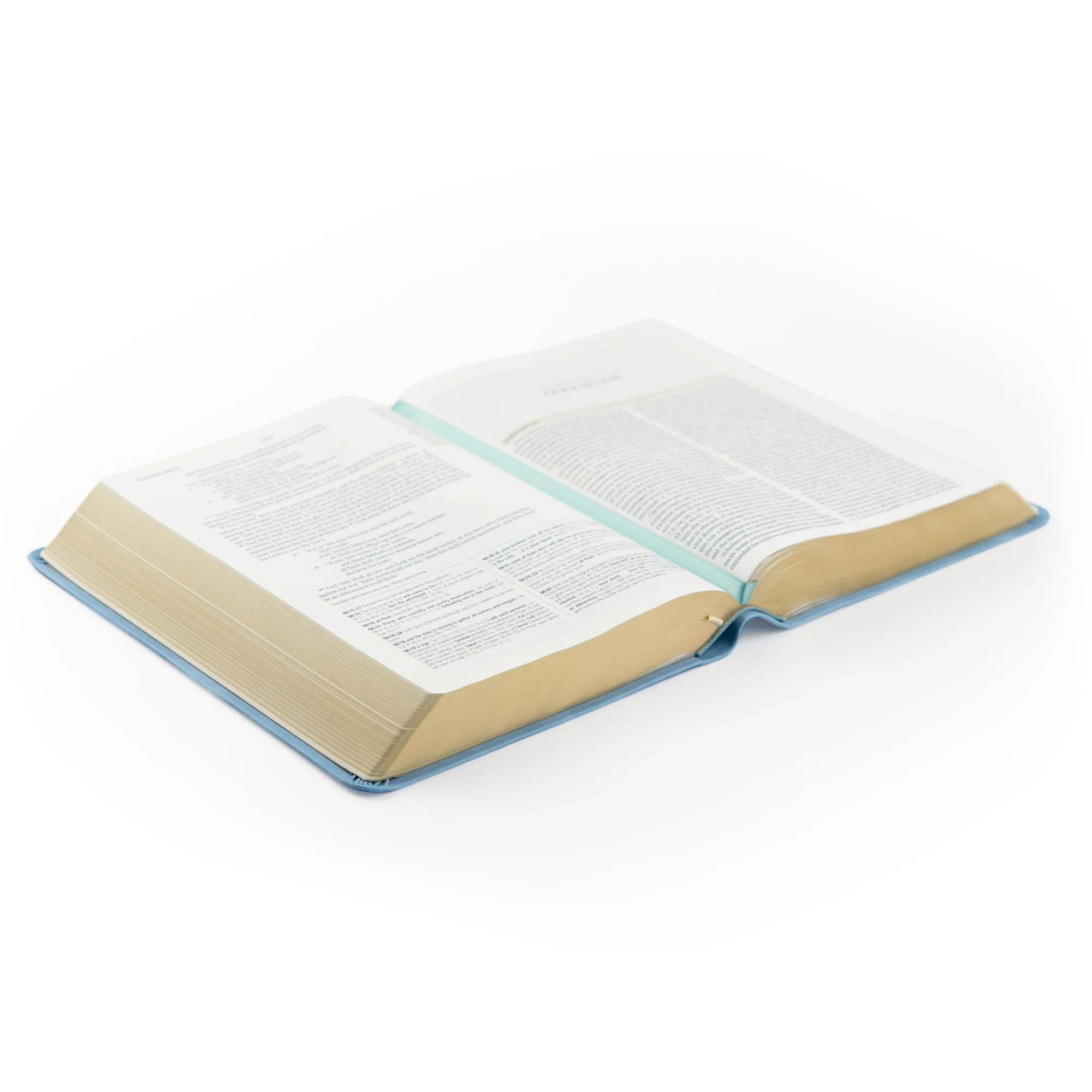 ESV Study Bible: Bethany Theme - Image 7