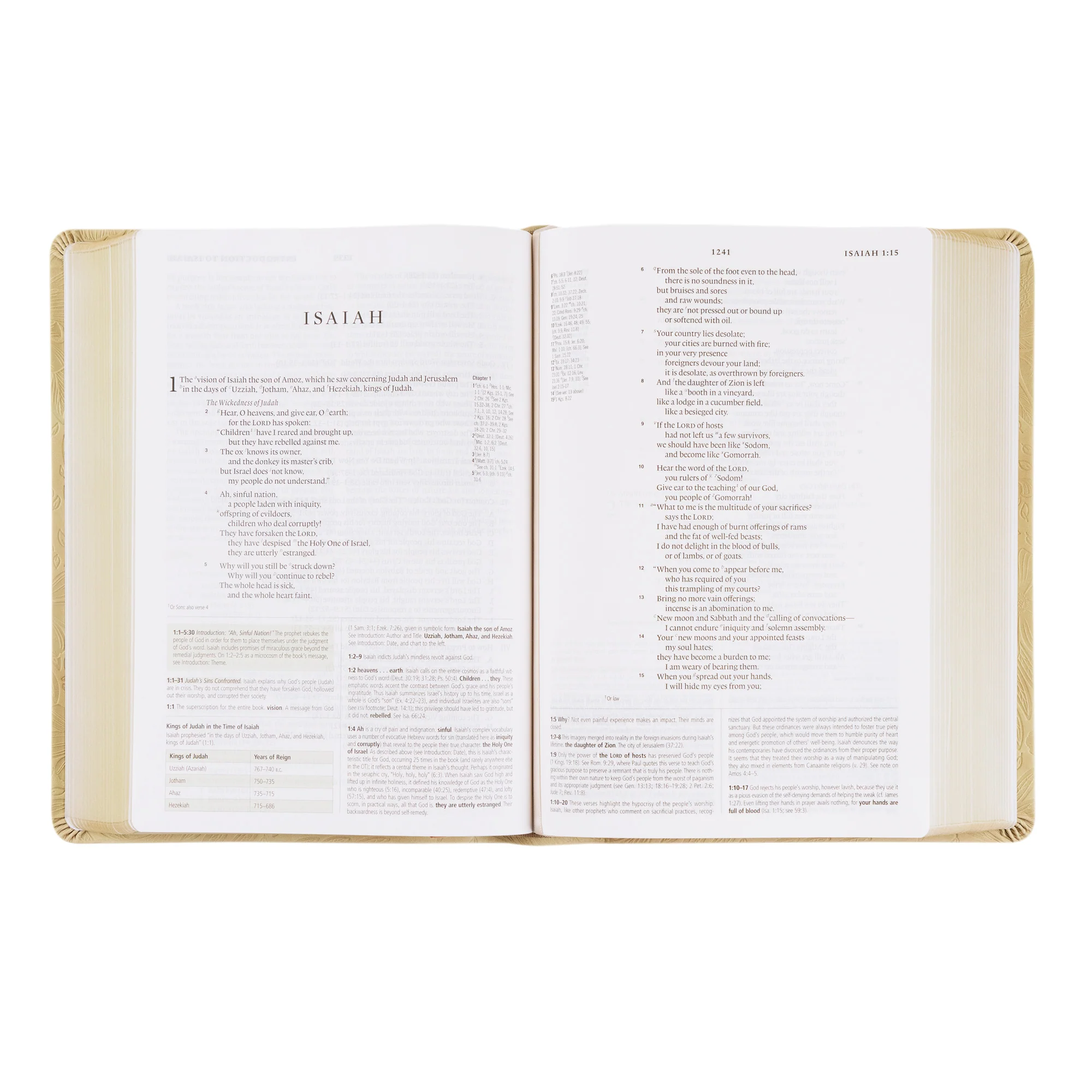 ESV Study Bible: Sonora Theme - Image 5