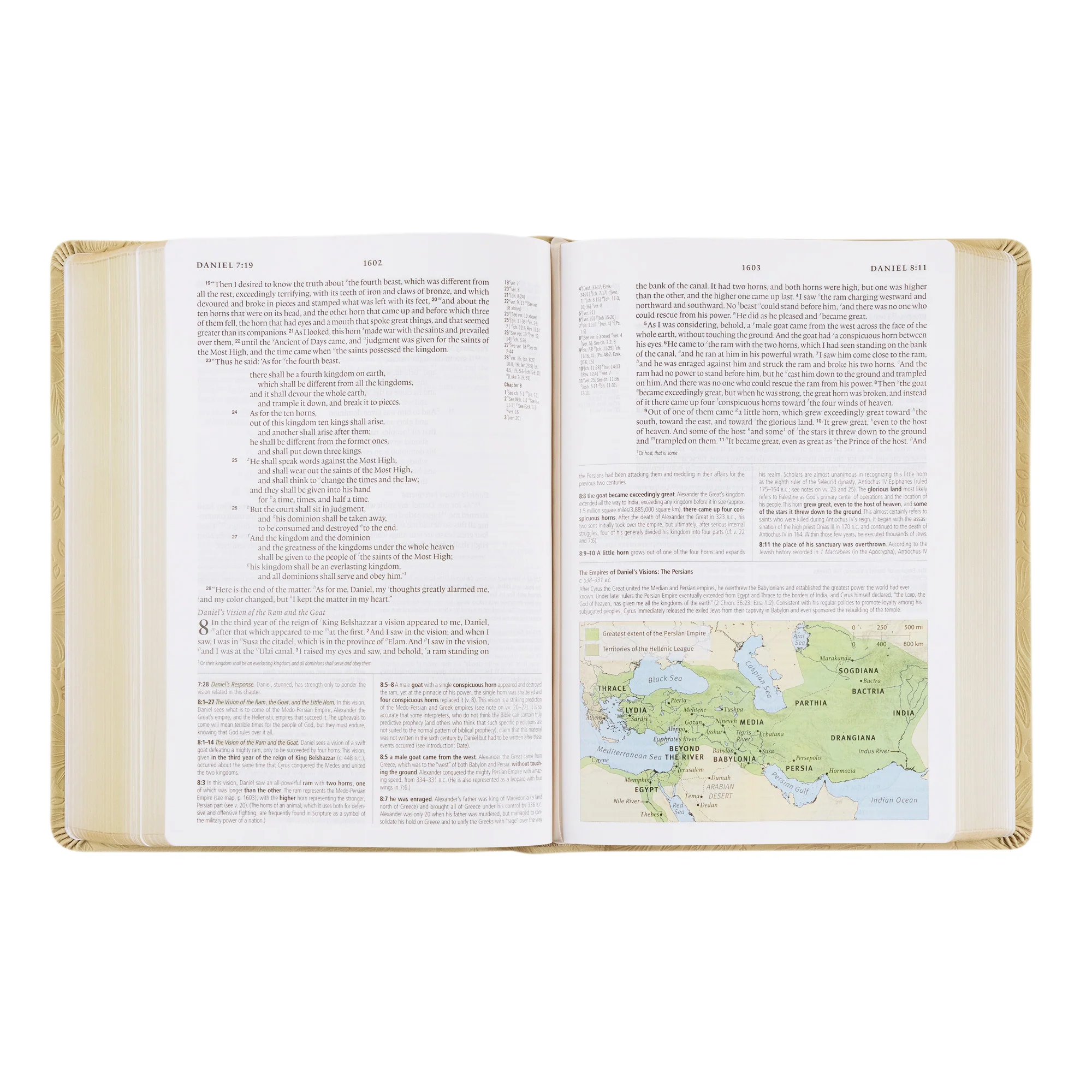 ESV Study Bible: Sonora Theme - Image 6