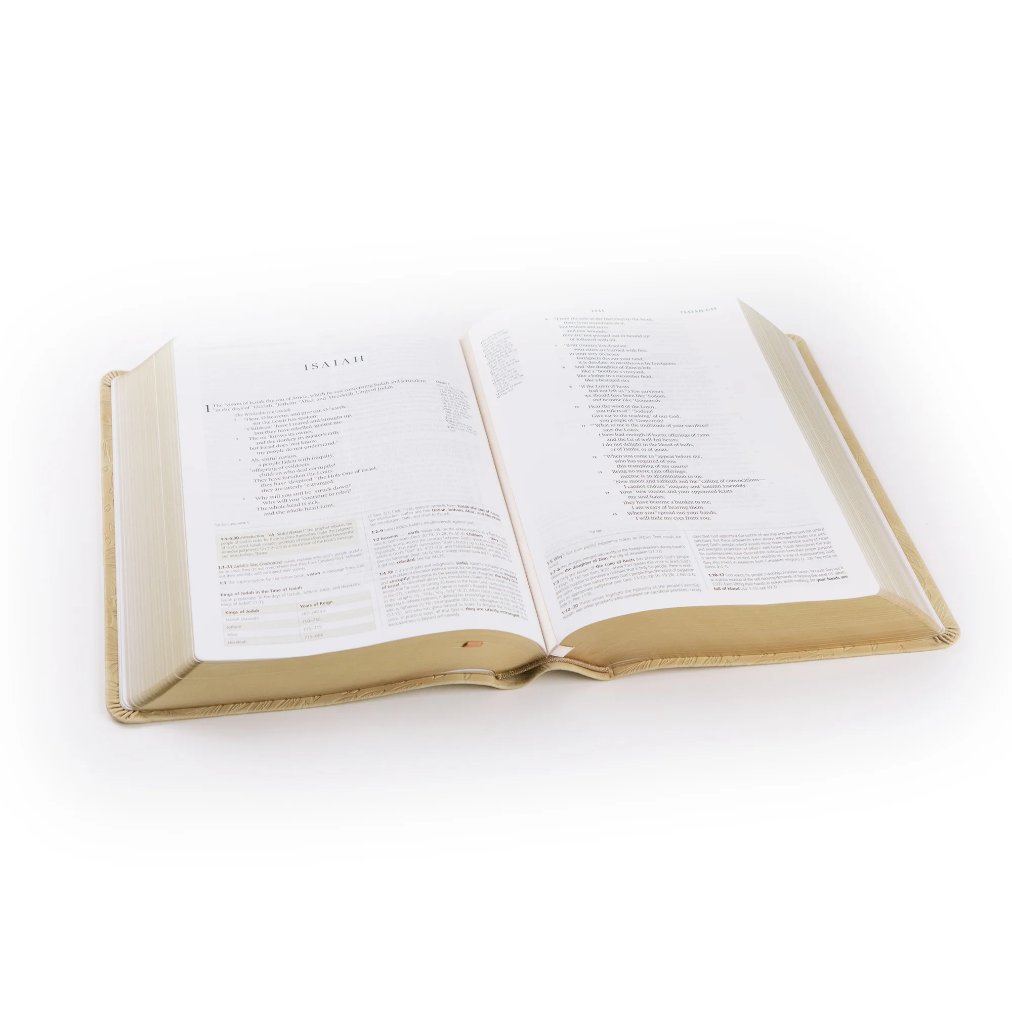 ESV Study Bible: Sonora Theme - Image 7