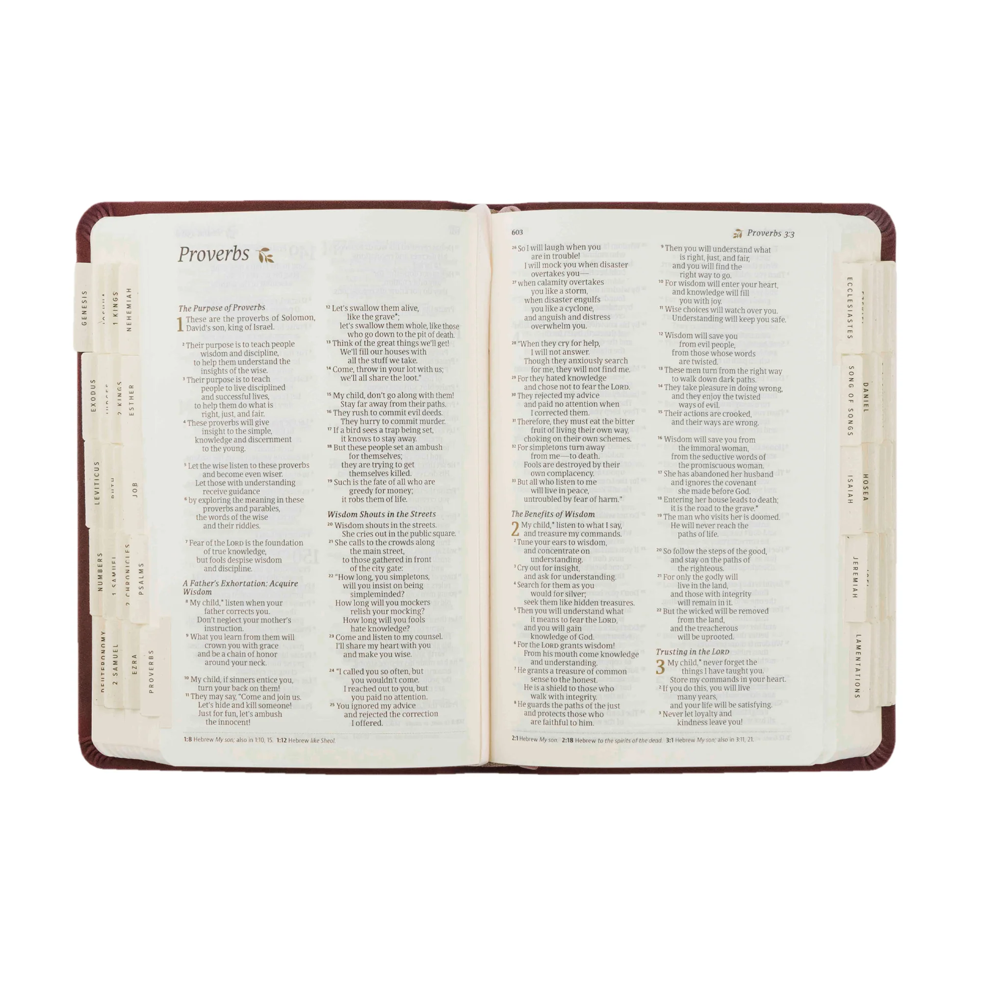 Hosanna Revival Bible Tabs: Black - Image 10