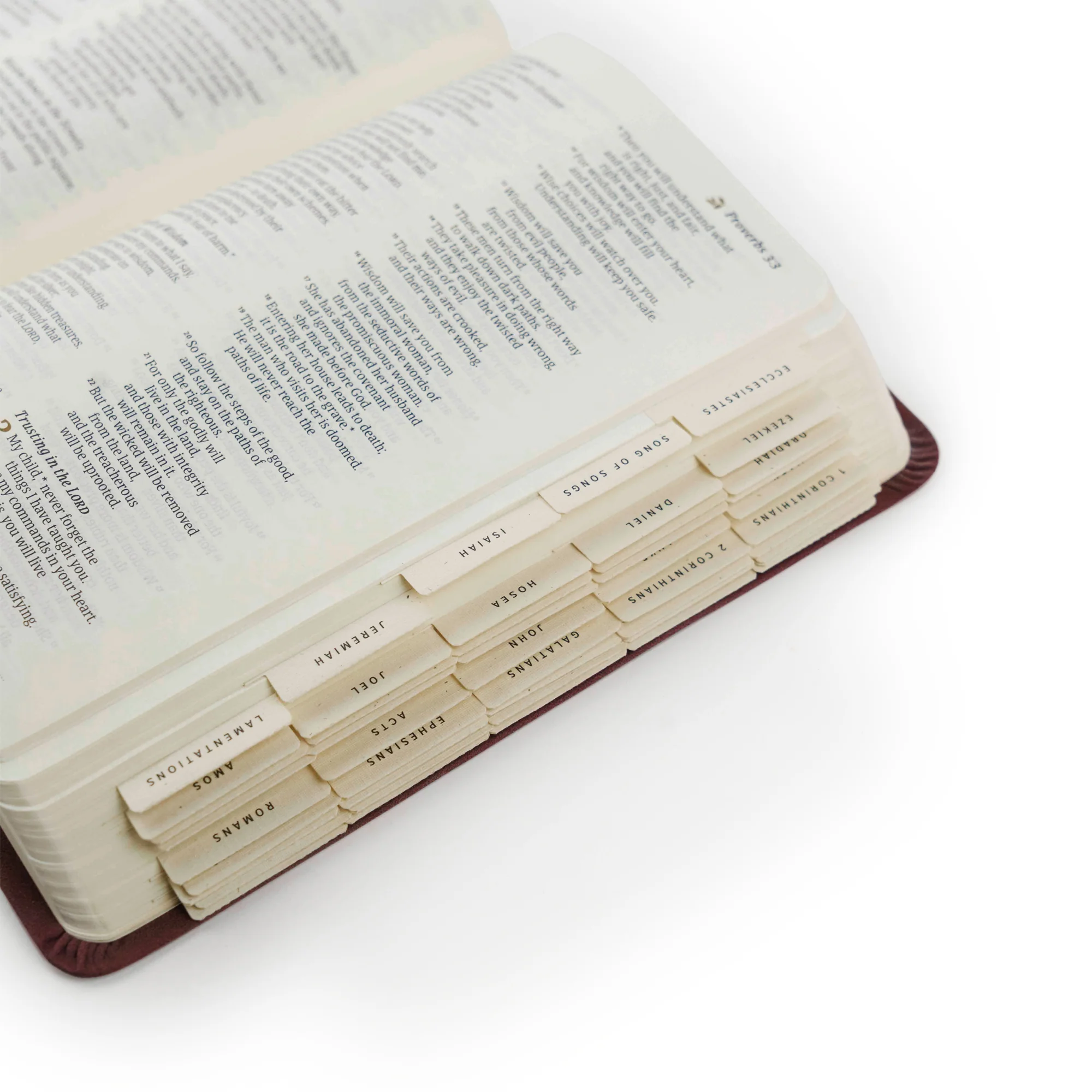 Hosanna Revival Bible Tabs: Black - Image 11