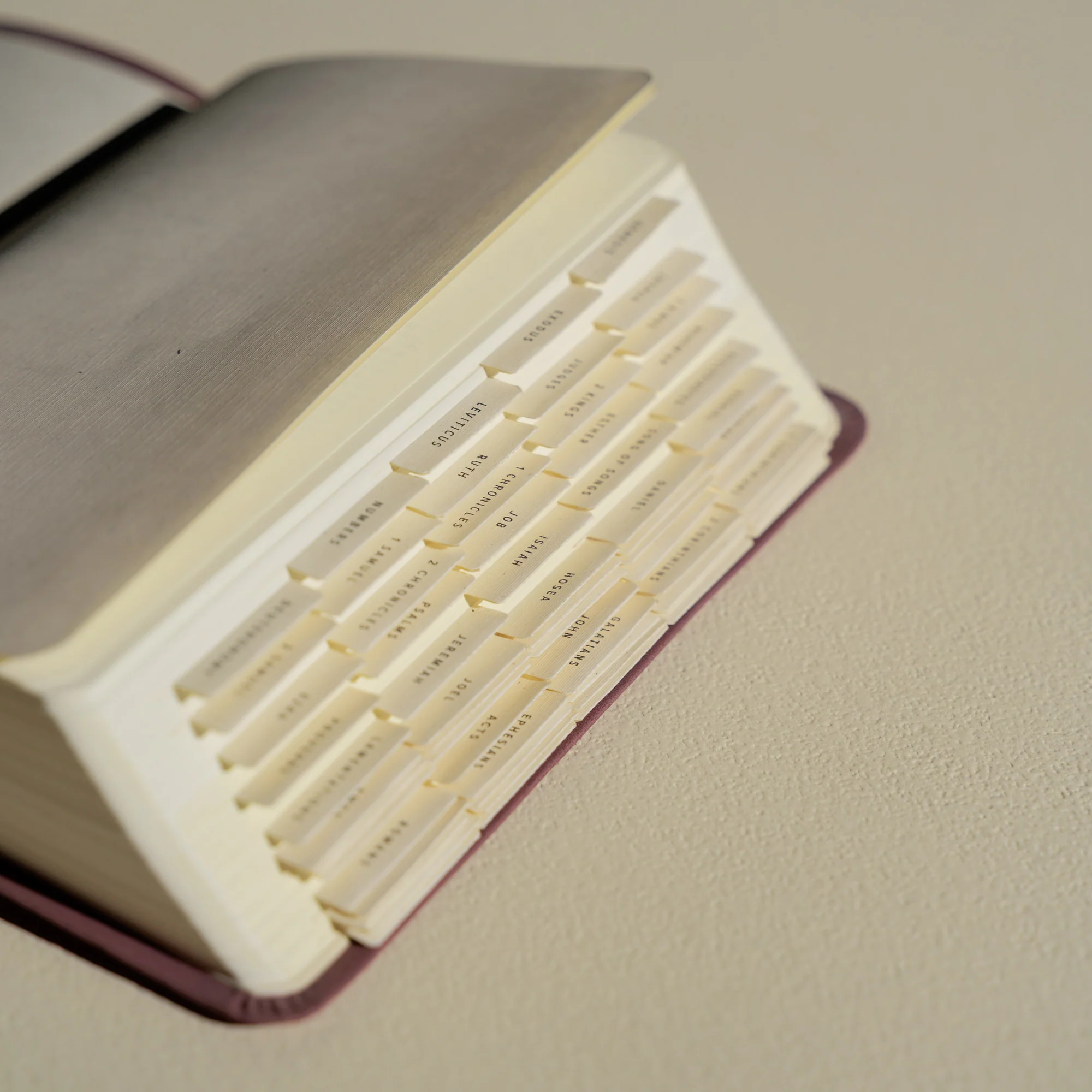 Hosanna Revival Bible Tabs: Black - Image 5