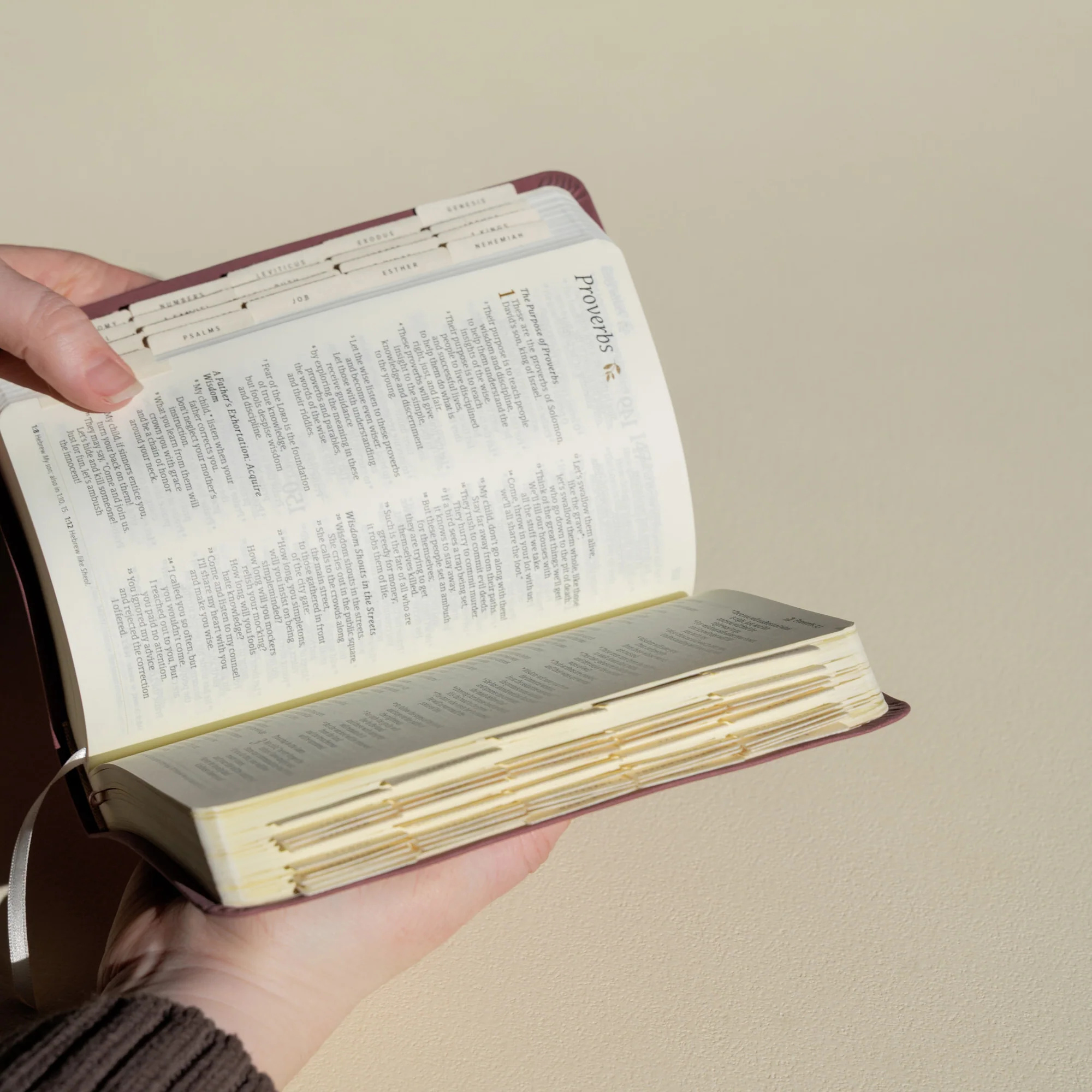 Hosanna Revival Bible Tabs: Black - Image 6
