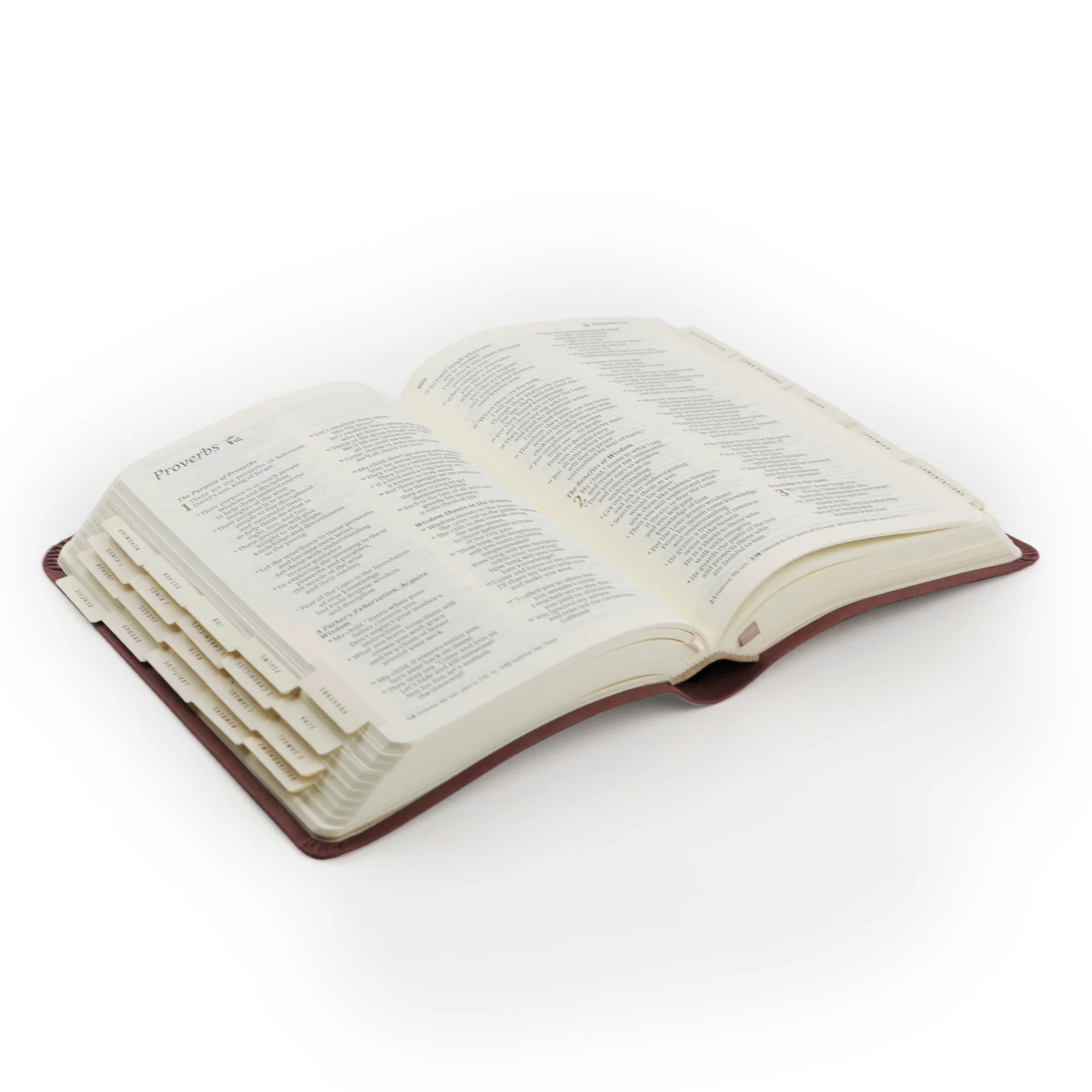 Hosanna Revival Bible Tabs: Black - Image 9