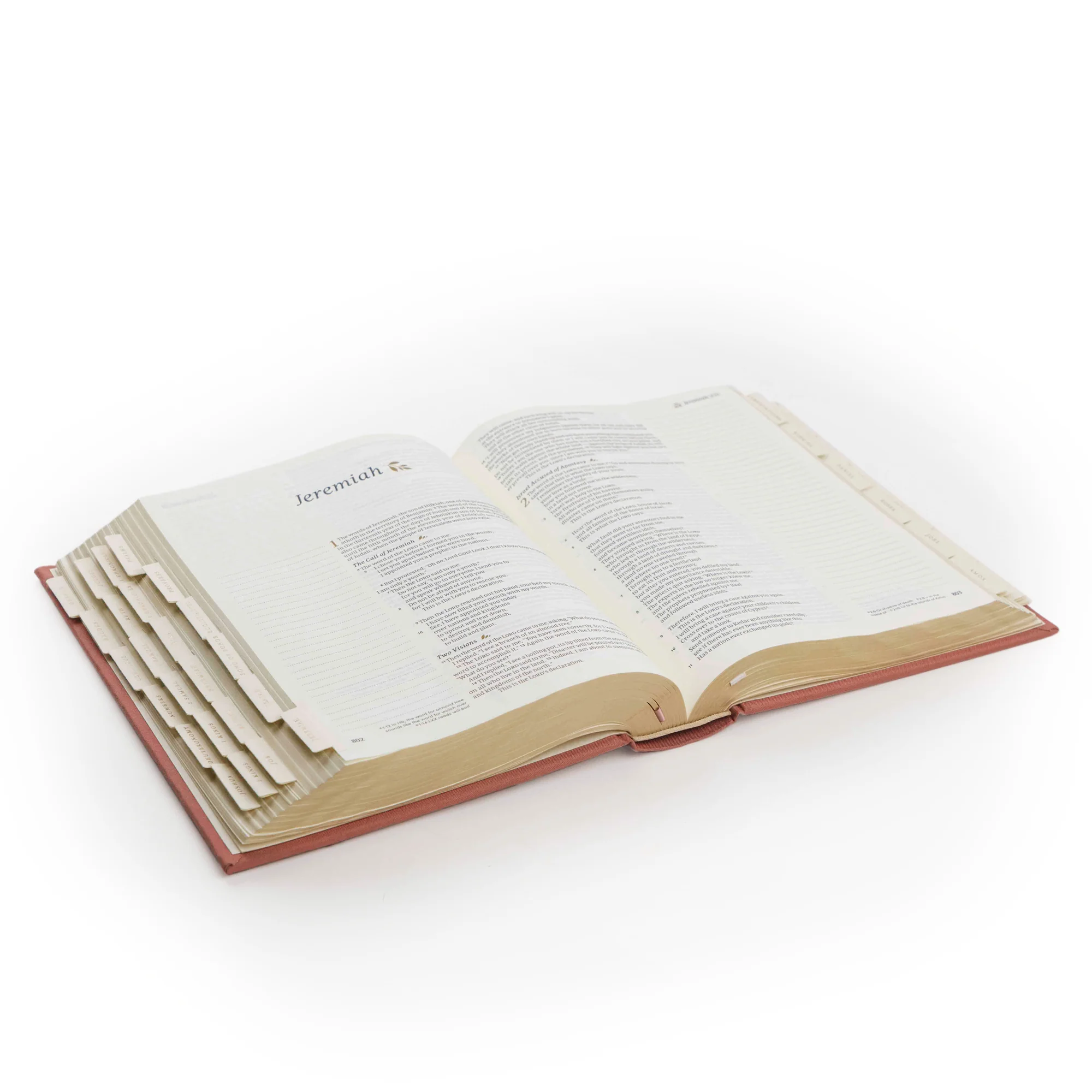 Hosanna Revival Bible Tabs: Gold - Image 10