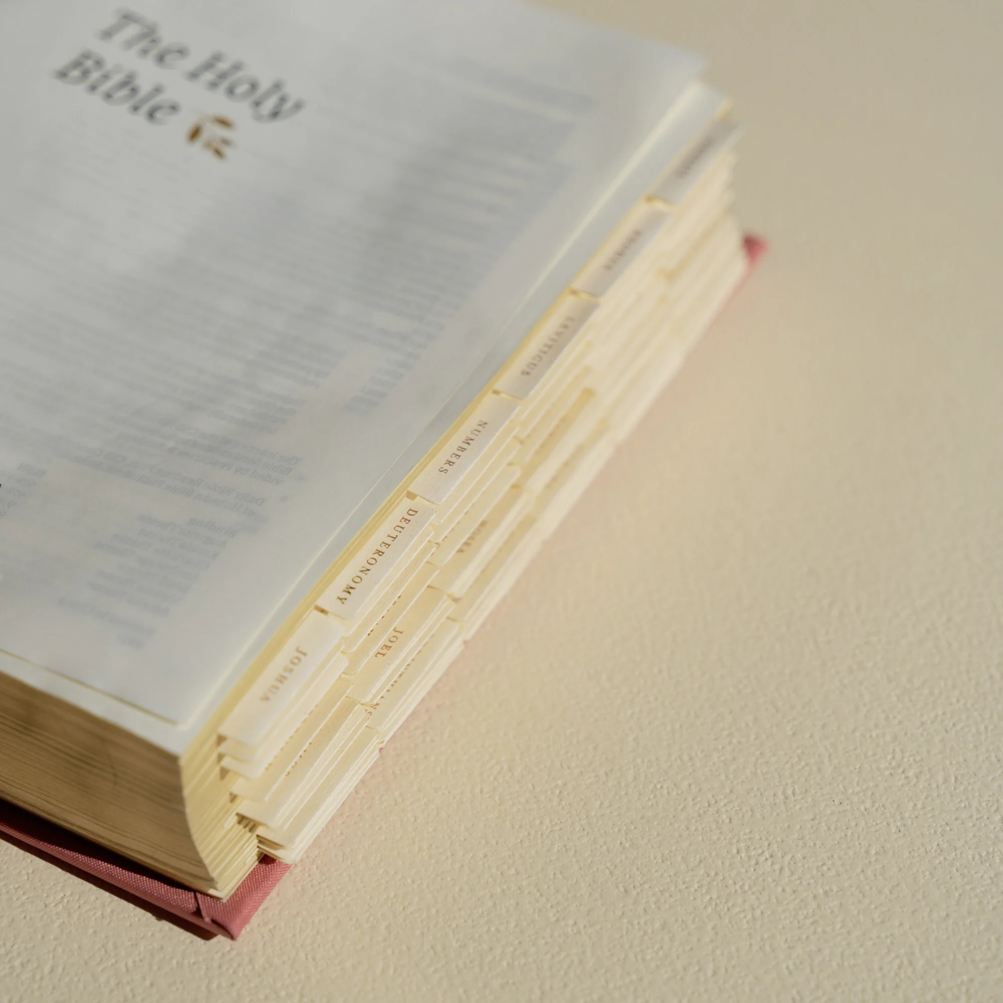 Hosanna Revival Bible Tabs: Gold - Image 6