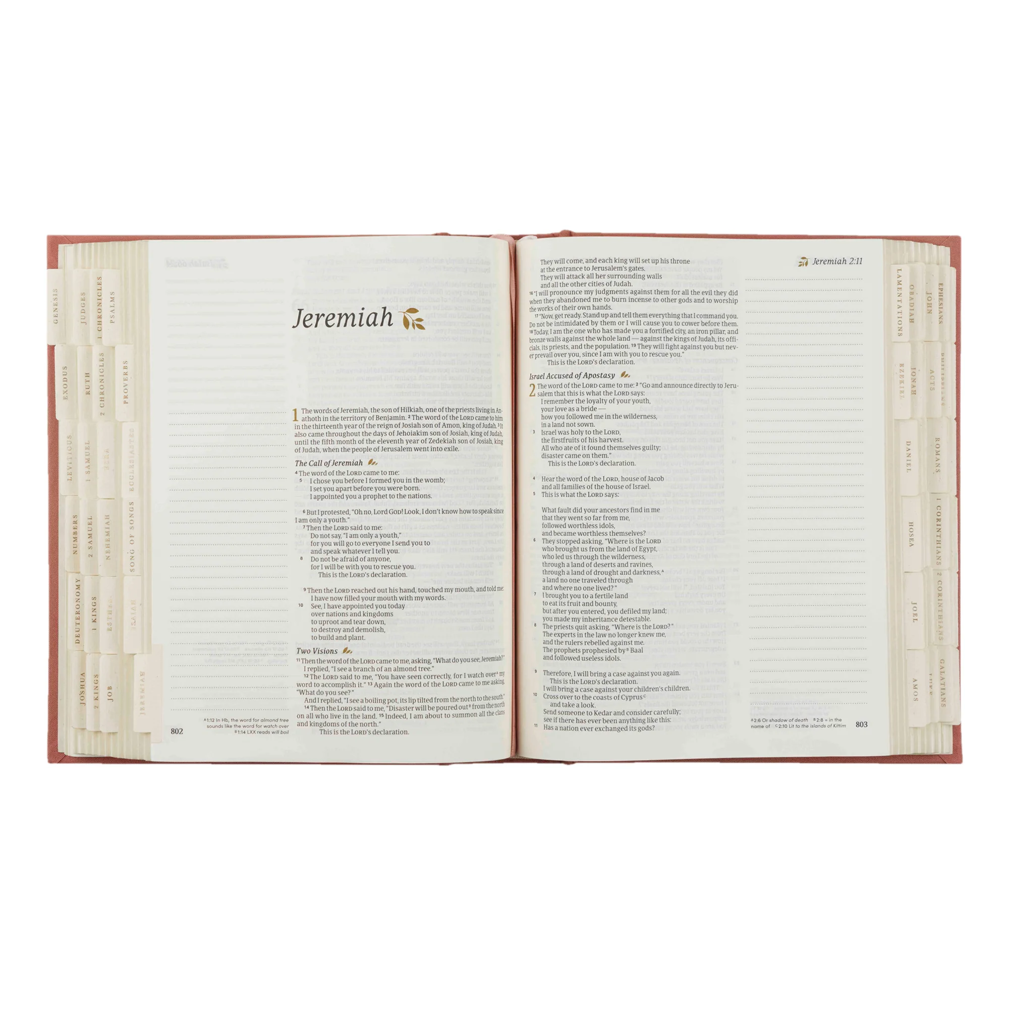 Hosanna Revival Bible Tabs: Gold - Image 9